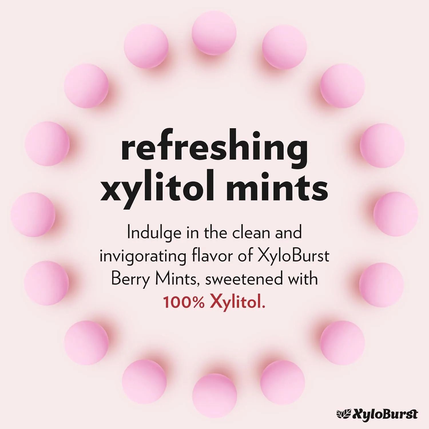 Xylitol Mints Sugar Free - Keto Breath Mints - Image 4