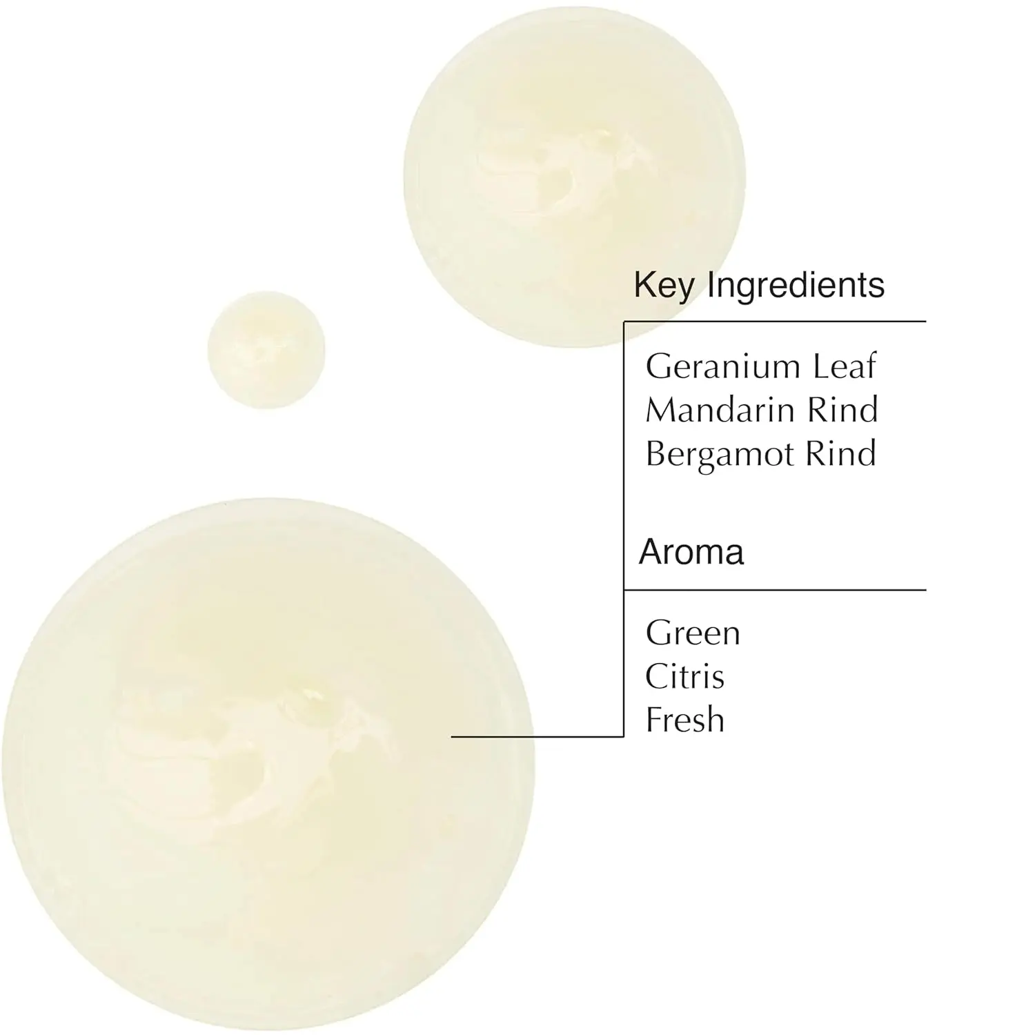 A 16.9 ounce bottle of Aesop Geranium Leaf Body Cleanser, a gentle gel cleanser with mandarin and bergamot oils to refresh skin.