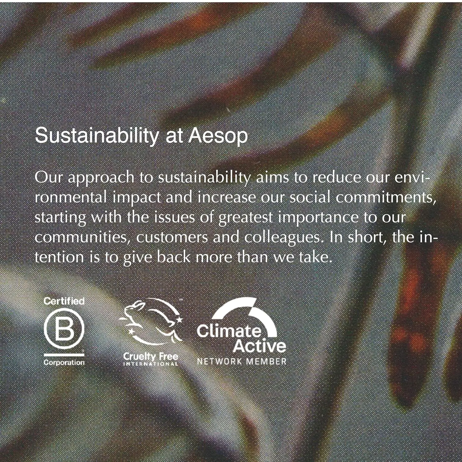 A 16.9 ounce bottle of Aesop Geranium Leaf Body Cleanser, a gentle gel cleanser with mandarin and bergamot oils to refresh skin.