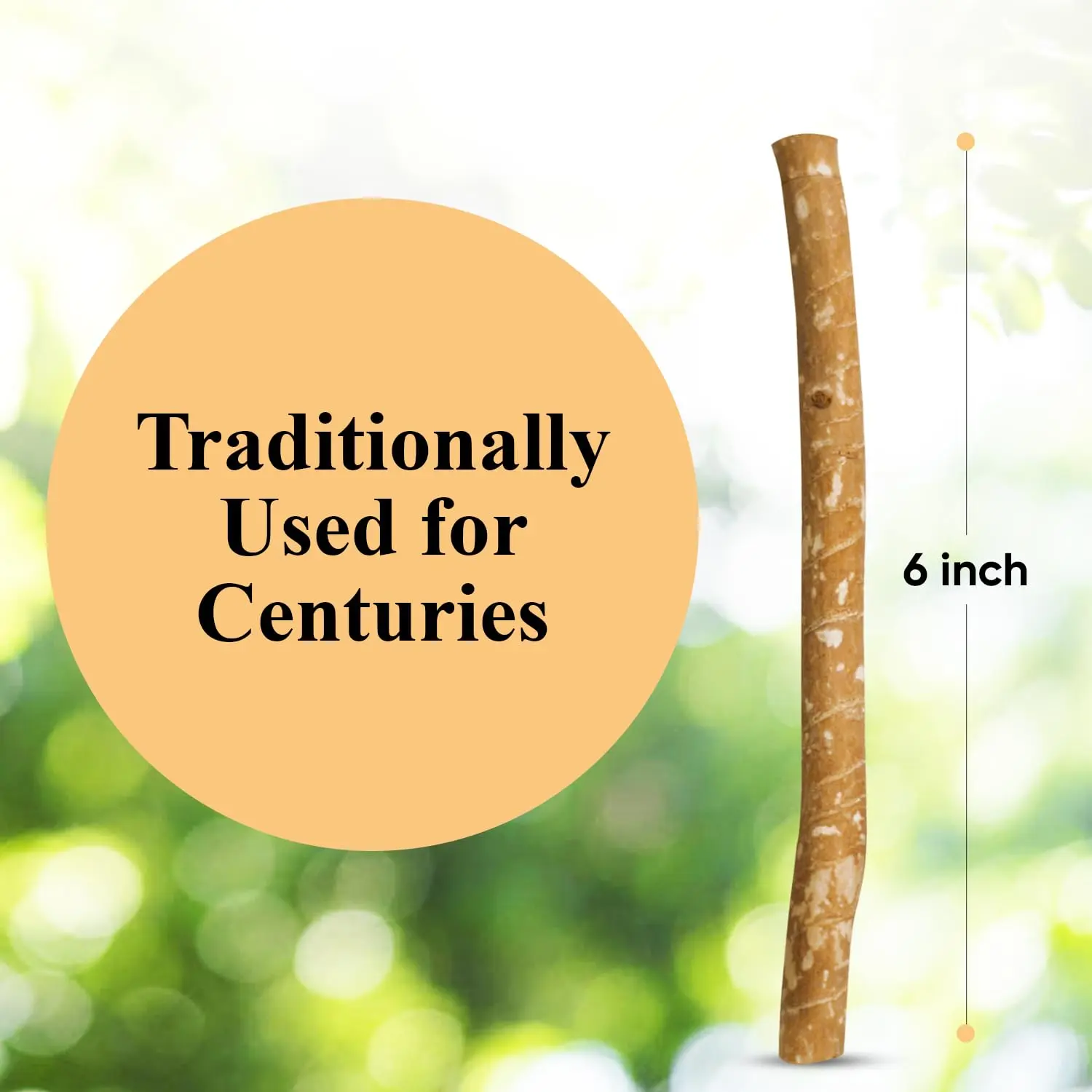 Ten Al Falah miswak sticks, a natural toothbrush alternative, vacuumed and packed for freshness.