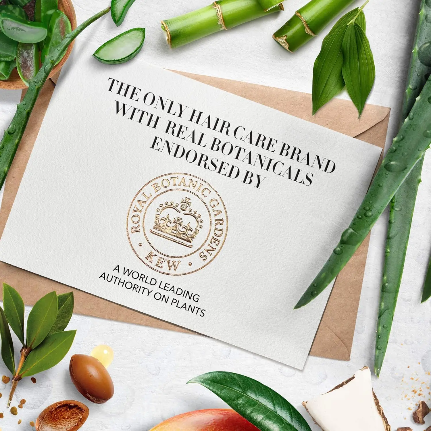 Herbal Essences Aloe Vera and Mango shampoo, conditioner, and hair oil set protects color-treated hair and hydrates dry hair, leaving it smooth and manageable.