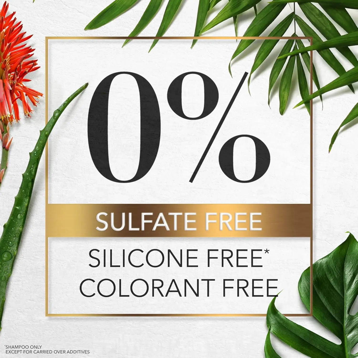 Herbal Essences Aloe Vera and Mango shampoo, conditioner, and hair oil set protects color-treated hair and hydrates dry hair, leaving it smooth and manageable.