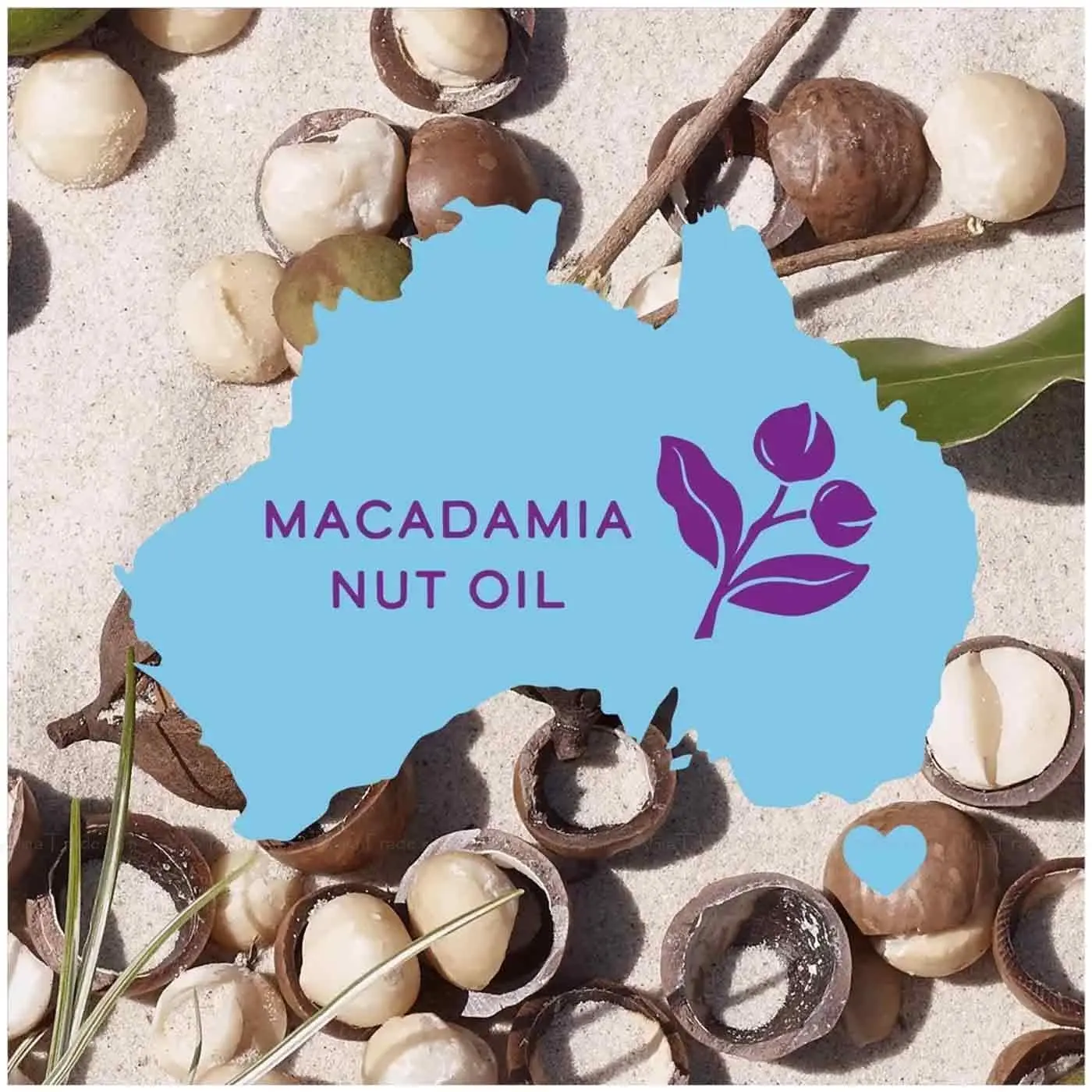 Aussie Miracle Moist shampoo and conditioner set infused with macadamia nut oil, hydrating dry and thirsty hair.