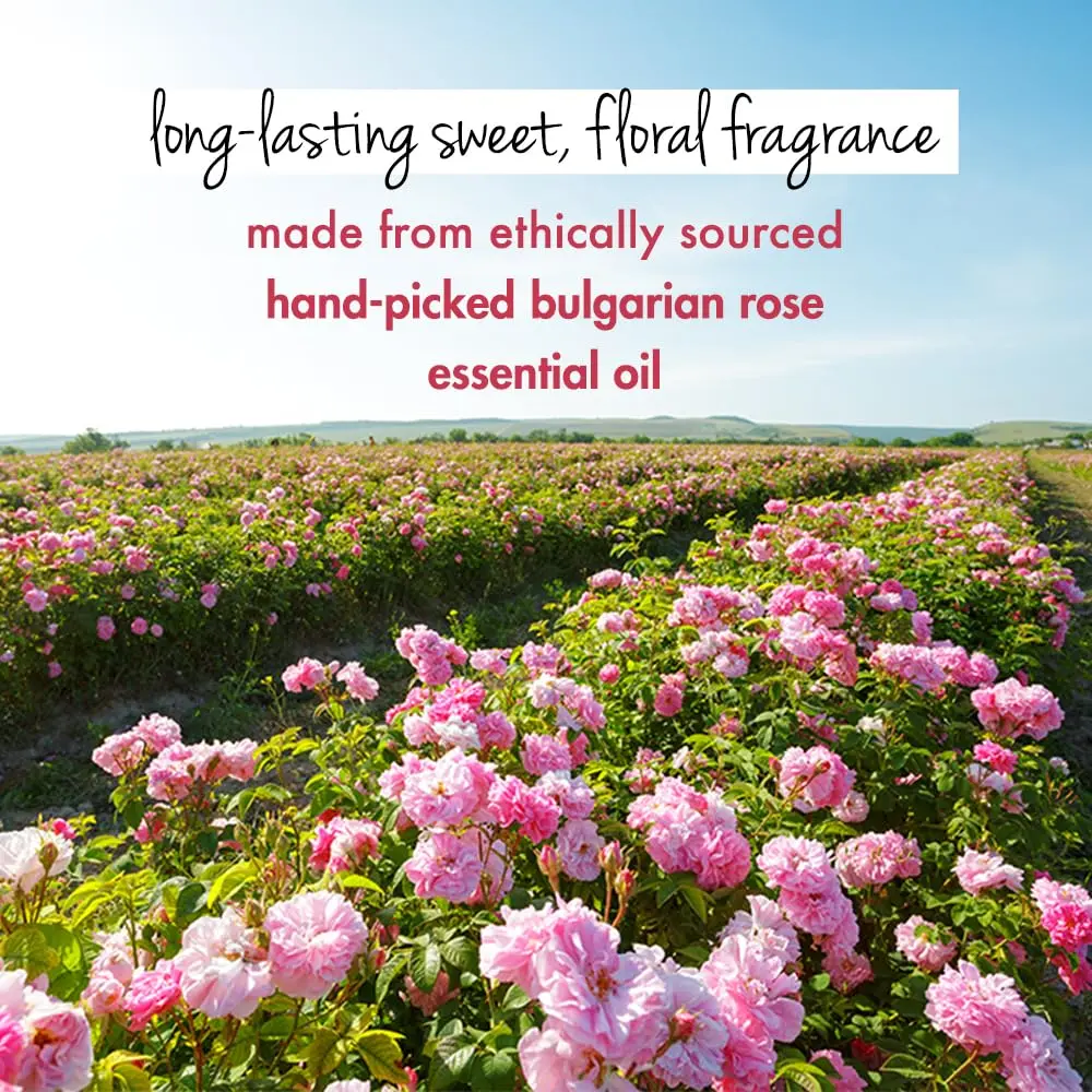 Love Beauty and Planet Murumuru Butter and Rose body wash gently cleanses and moisturizes skin, leaving a sweet rose scent.