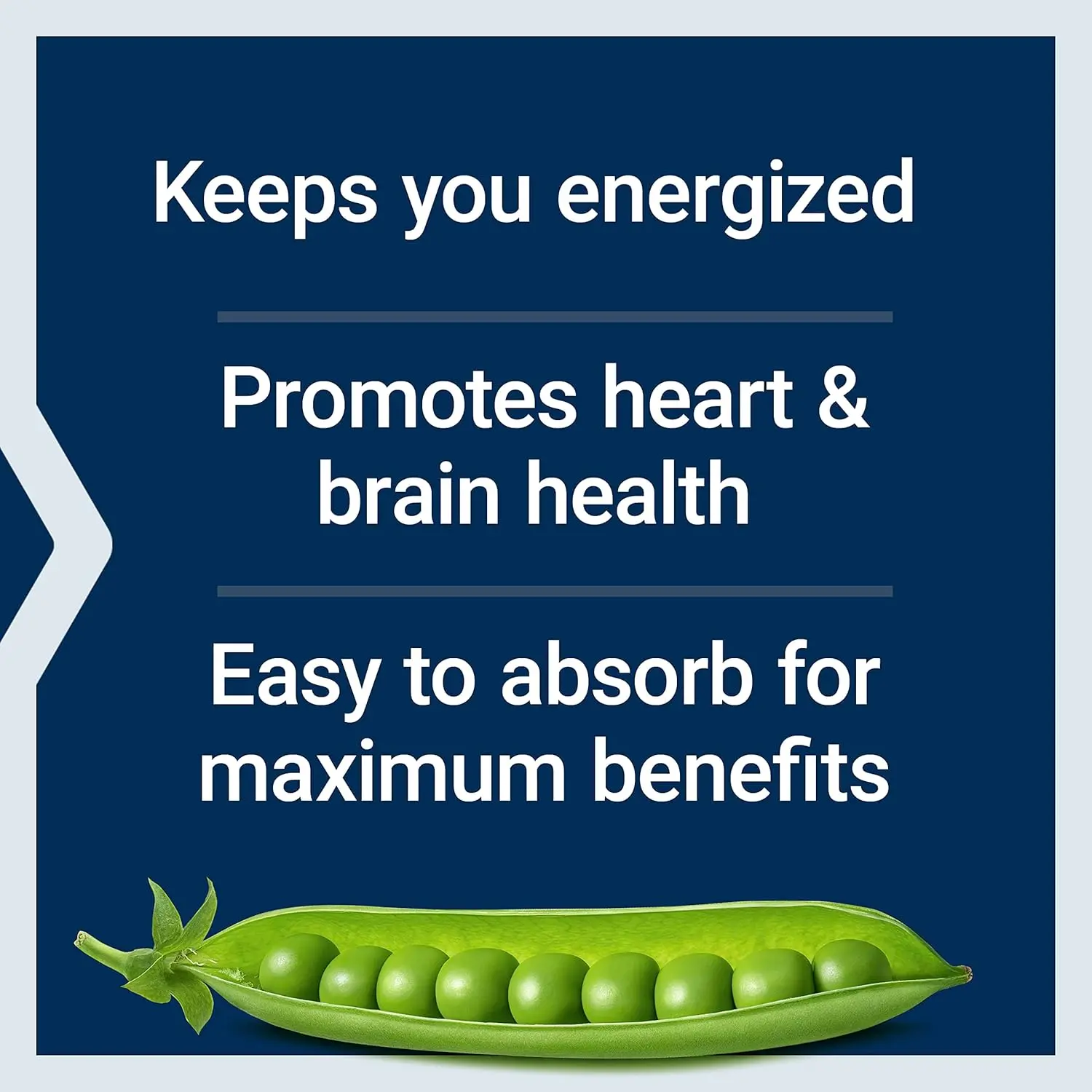 Life Extension Bioactive Complete B-Complex supplement supports heart, brain, nerve health, and energy production with a comprehensive blend of B vitamins in easy-to-absorb vegetarian capsules.
