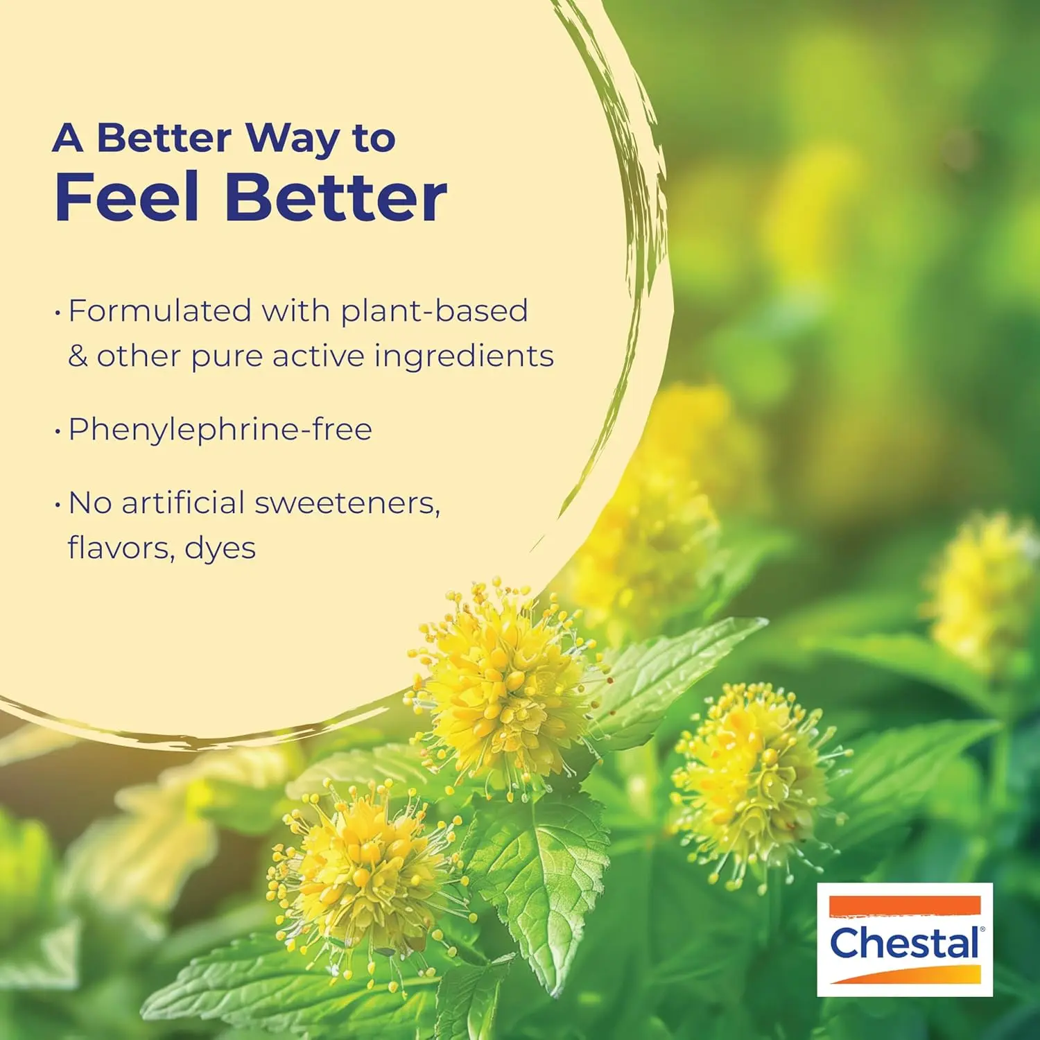 Boiron Adult's Chestal cough syrup provides relief from cold and cough symptoms in a 6.7 fluid ounce bottle.