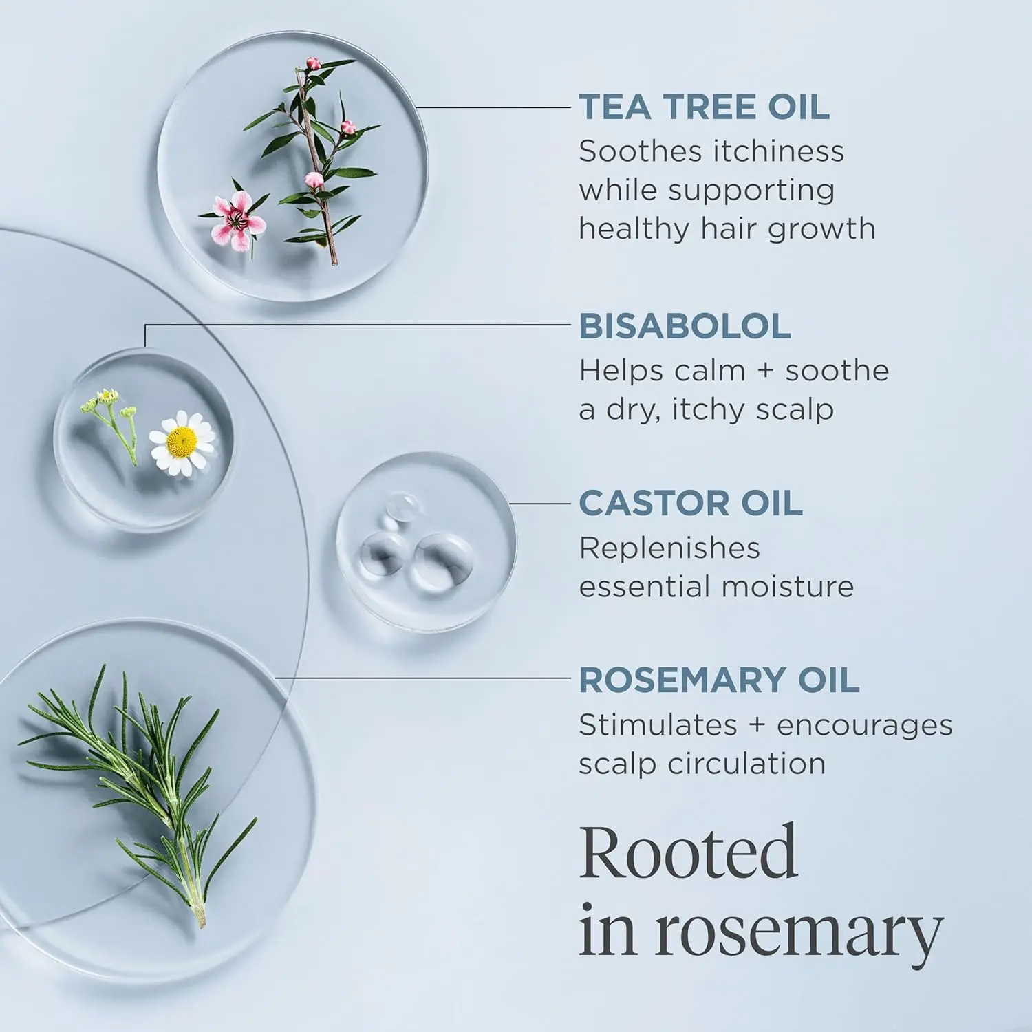 Briogeo Rosemary Scalp Revival pre-wash oil shown to soothe a dry scalp with a lightweight, vegan, and cruelty-free formula that promotes stronger hair.