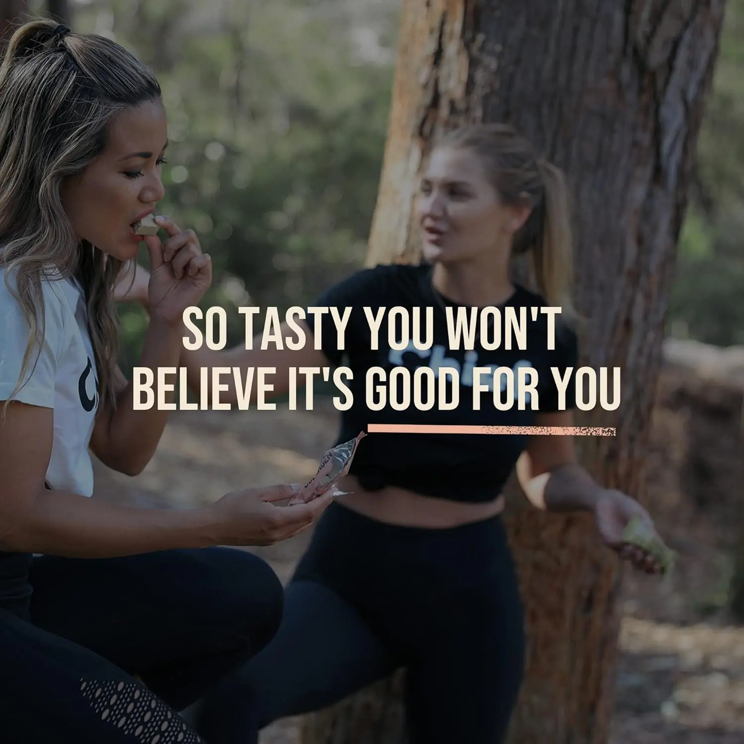 A box of Chief Hazelnut Brownie collagen protein bars made with natural ingredients for a healthy, on-the-go keto and paleo friendly snack that supports gut, joint, and skin health.