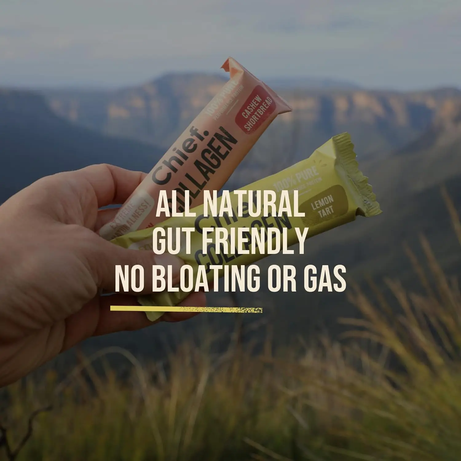 A box of Chief Hazelnut Brownie collagen protein bars made with natural ingredients for a healthy, on-the-go keto and paleo friendly snack that supports gut, joint, and skin health.