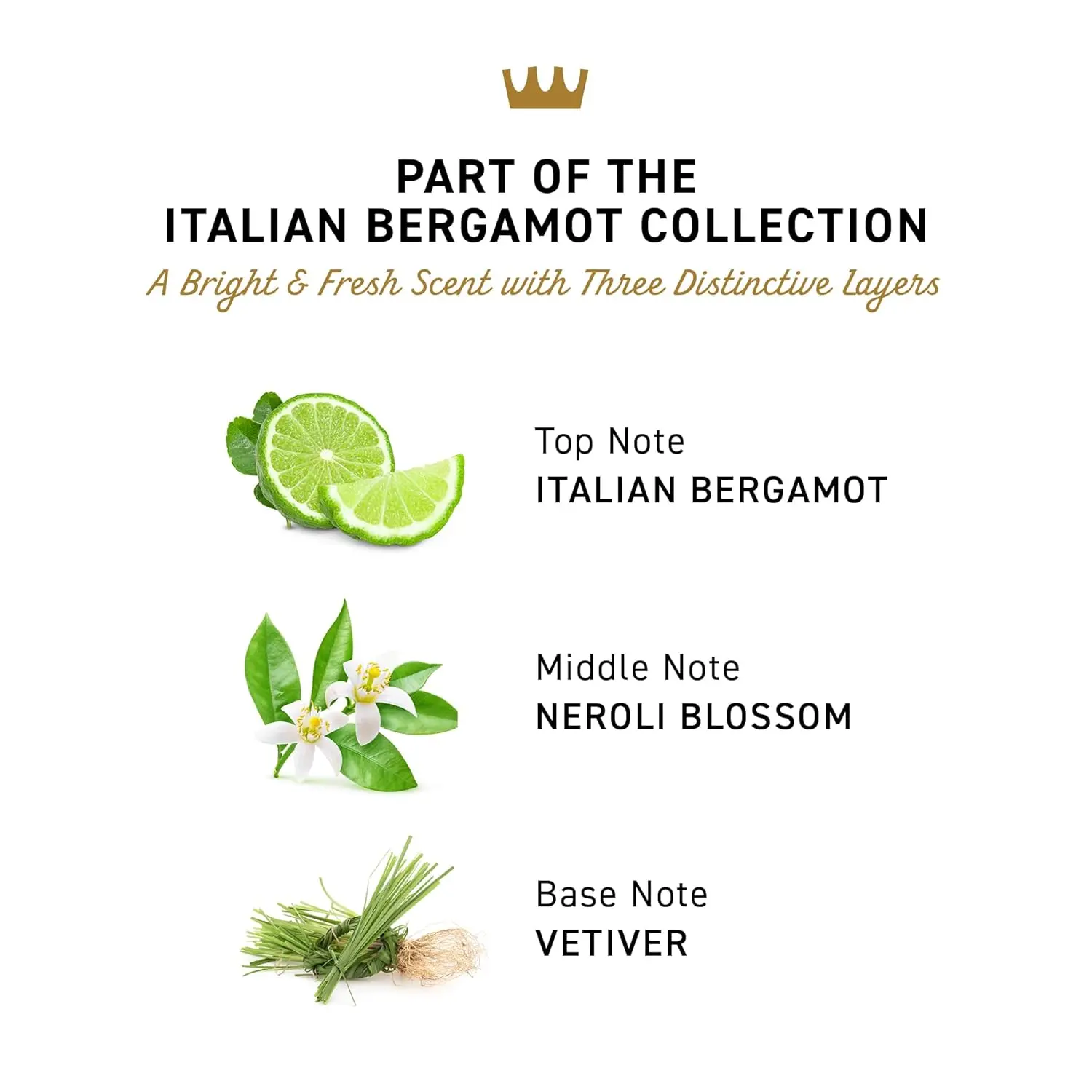 Cremo Italian Bergamot antiperspirant deodorant for men provides 48-hour sweat and odor protection with a smooth, fresh fragrance.