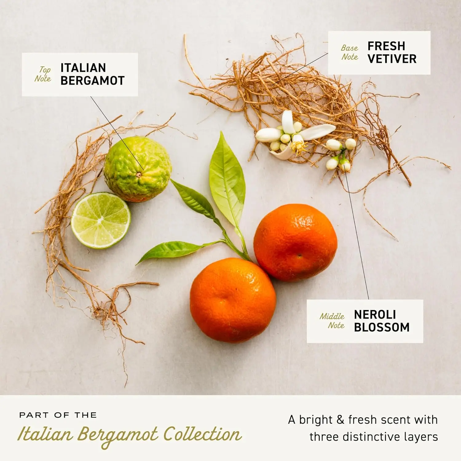 Bottle of Cremo Italian Bergamot 2 in 1 shampoo and conditioner for men, featuring a refreshing scent of neroli blossom and fresh vetiver for all hair types.