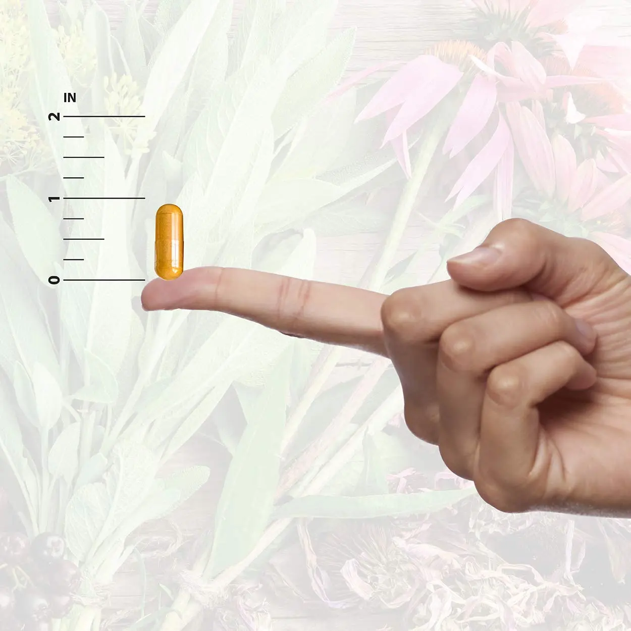 Nature's Answer D-Mannose capsules provide healthy urinary tract support in an easy-to-take vegetarian dietary supplement.