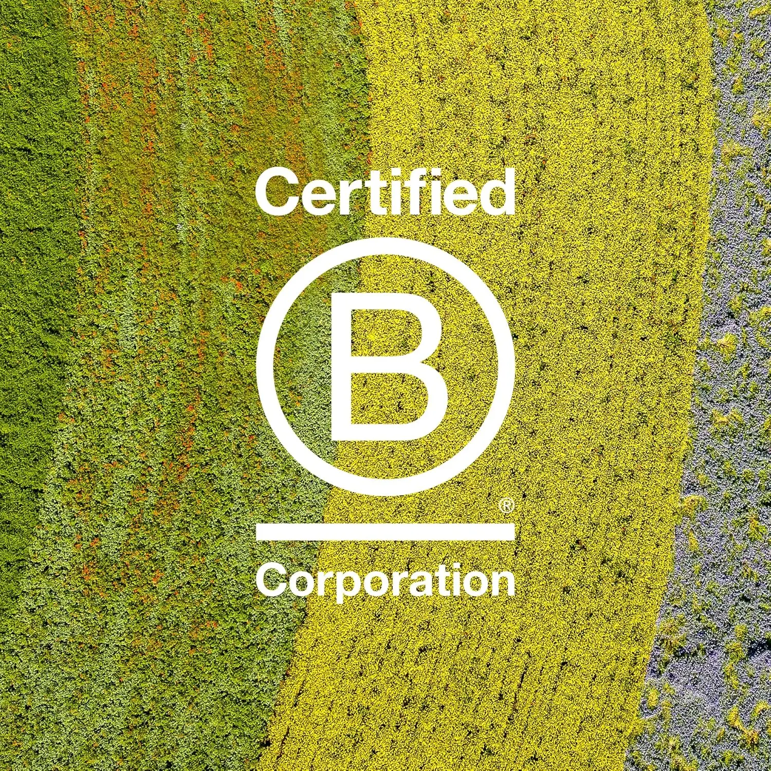 Davines Solu Sea Salt Scrub Cleanser for oily hair, weighing 0.36kg, with dimensions of 6.6cm x 8.6cm x 8.6cm. Apply to wet hair, massage scalp, add water, and rinse.