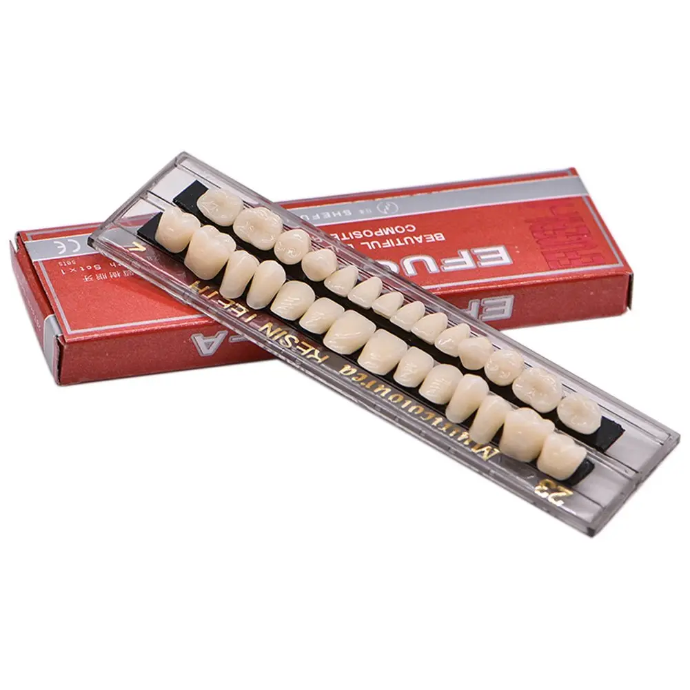 Five realistic-looking acrylic resin teeth mounted on dental mirrors, perfect for makeup looks or creating a teeth model for school projects.