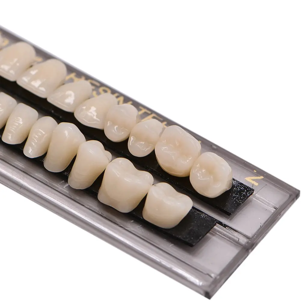 Five realistic-looking acrylic resin teeth mounted on dental mirrors, perfect for makeup looks or creating a teeth model for school projects.