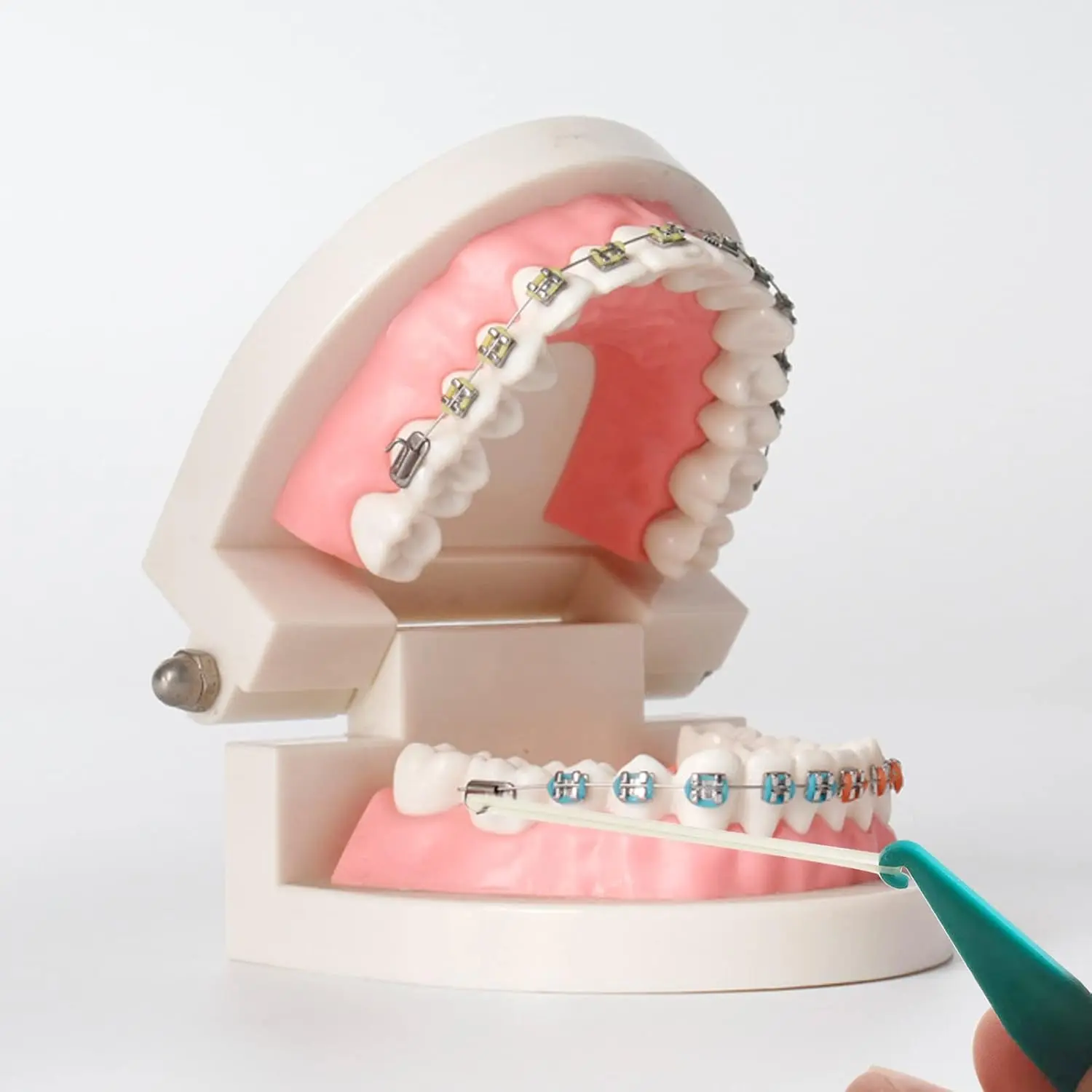 This pack of 20 multi-colored dental elastic placers are disposable tools designed to easily apply and remove rubber bands on braces, making orthodontic treatment more convenient.