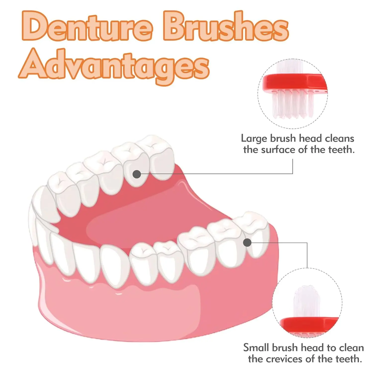 This denture cleaning brush set includes six color-coded, dual-headed brushes with firm nylon bristles for effectively cleaning dentures, retainers, mouthguards, and other oral appliances.