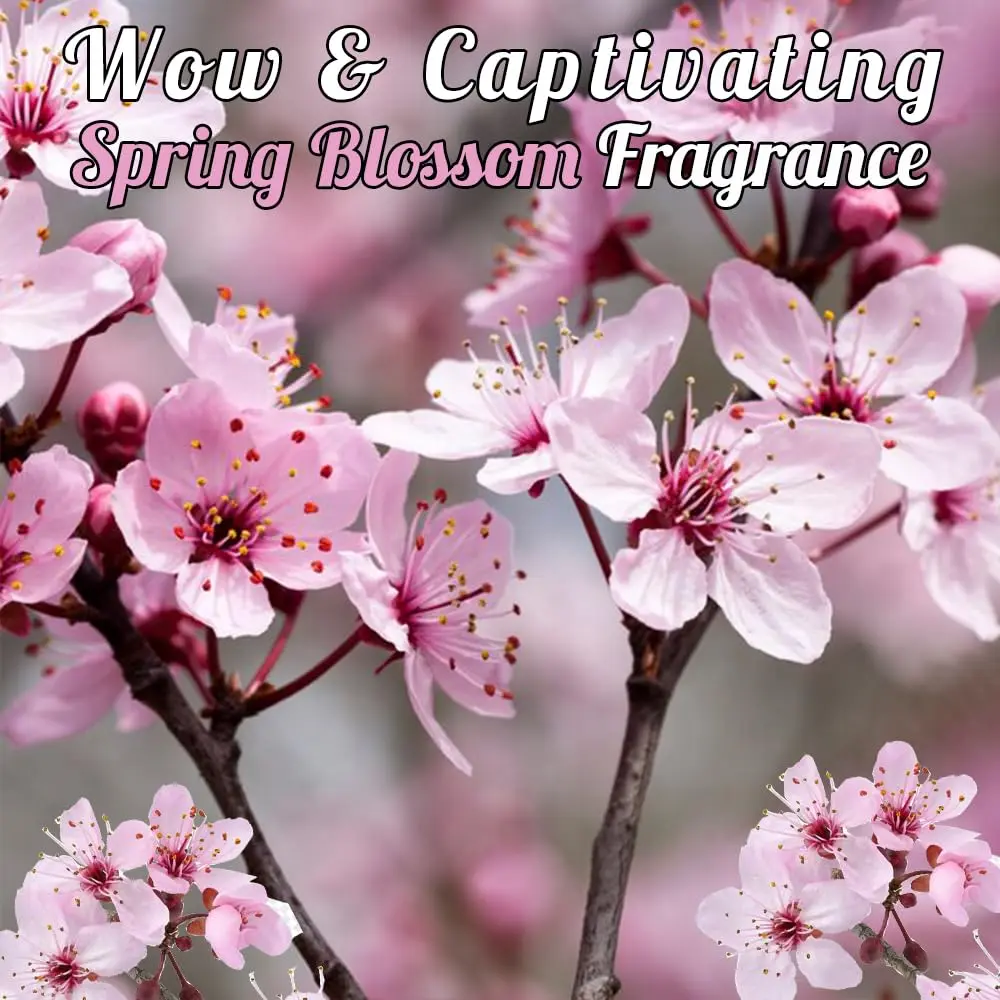 Ecolyte liquid hand soap refill provides effective germ protection while leaving hands soft, moisturized, and fragrantly scented.