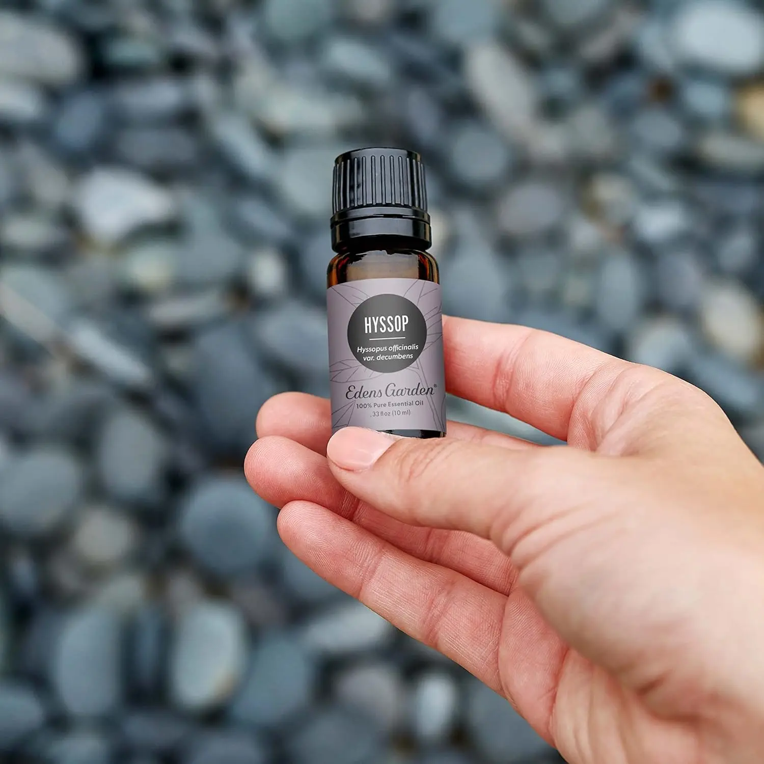 Bottle of Edens Garden Hyssop Essential Oil offering a fresh, slightly sweet aroma for respiratory support and emotional clarity in aromatherapy.