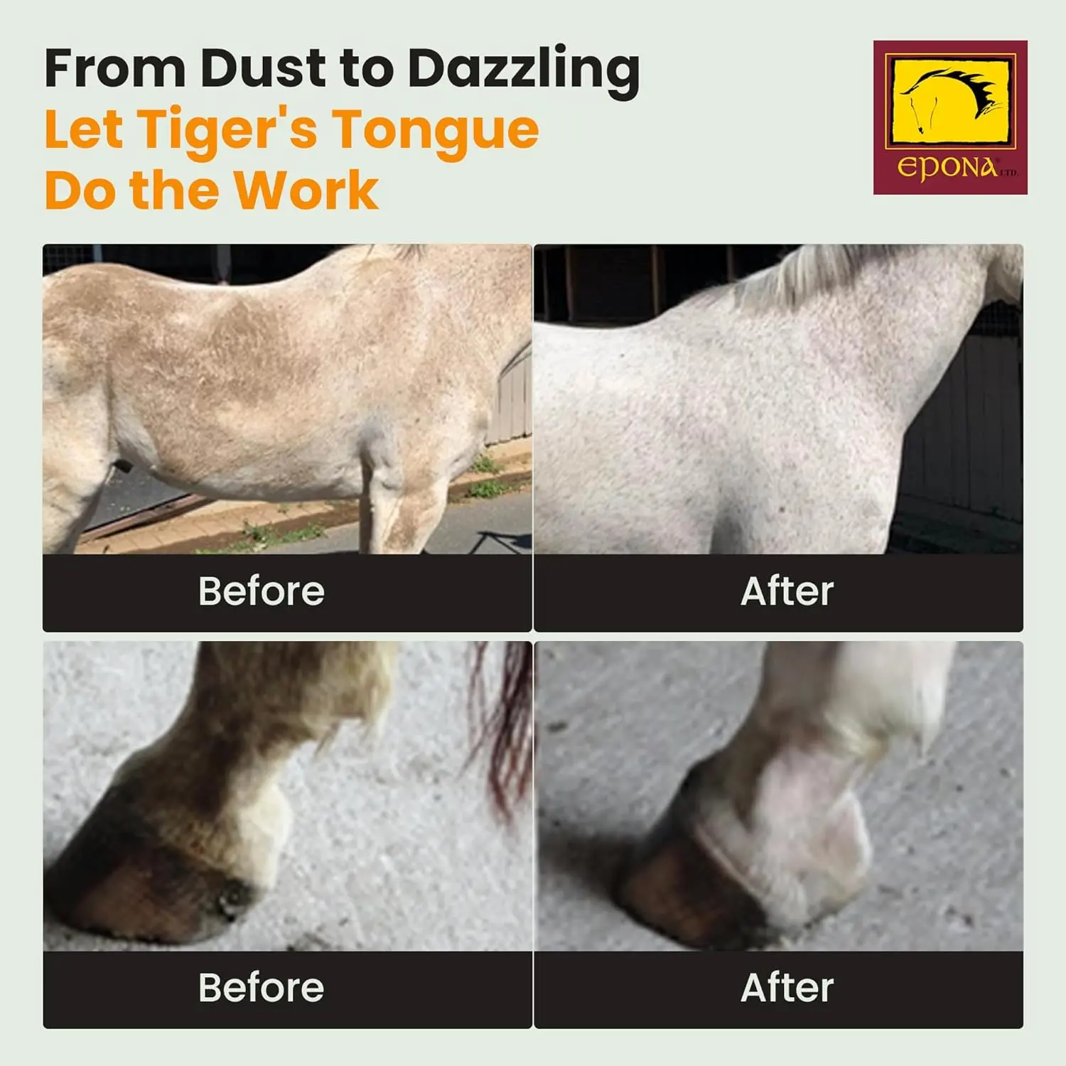 The EPONA Tiger's Tongue Horse Groomer deep cleans embedded dirt, dung, and dried sweat, leaving a horse's coat clean and refreshed.