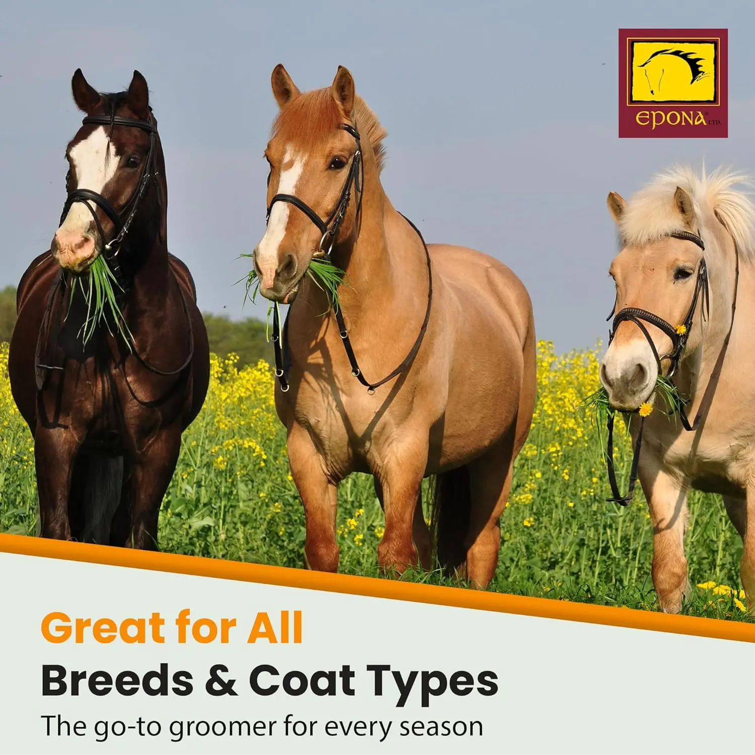 The EPONA Tiger's Tongue Horse Groomer deep cleans embedded dirt, dung, and dried sweat, leaving a horse's coat clean and refreshed.