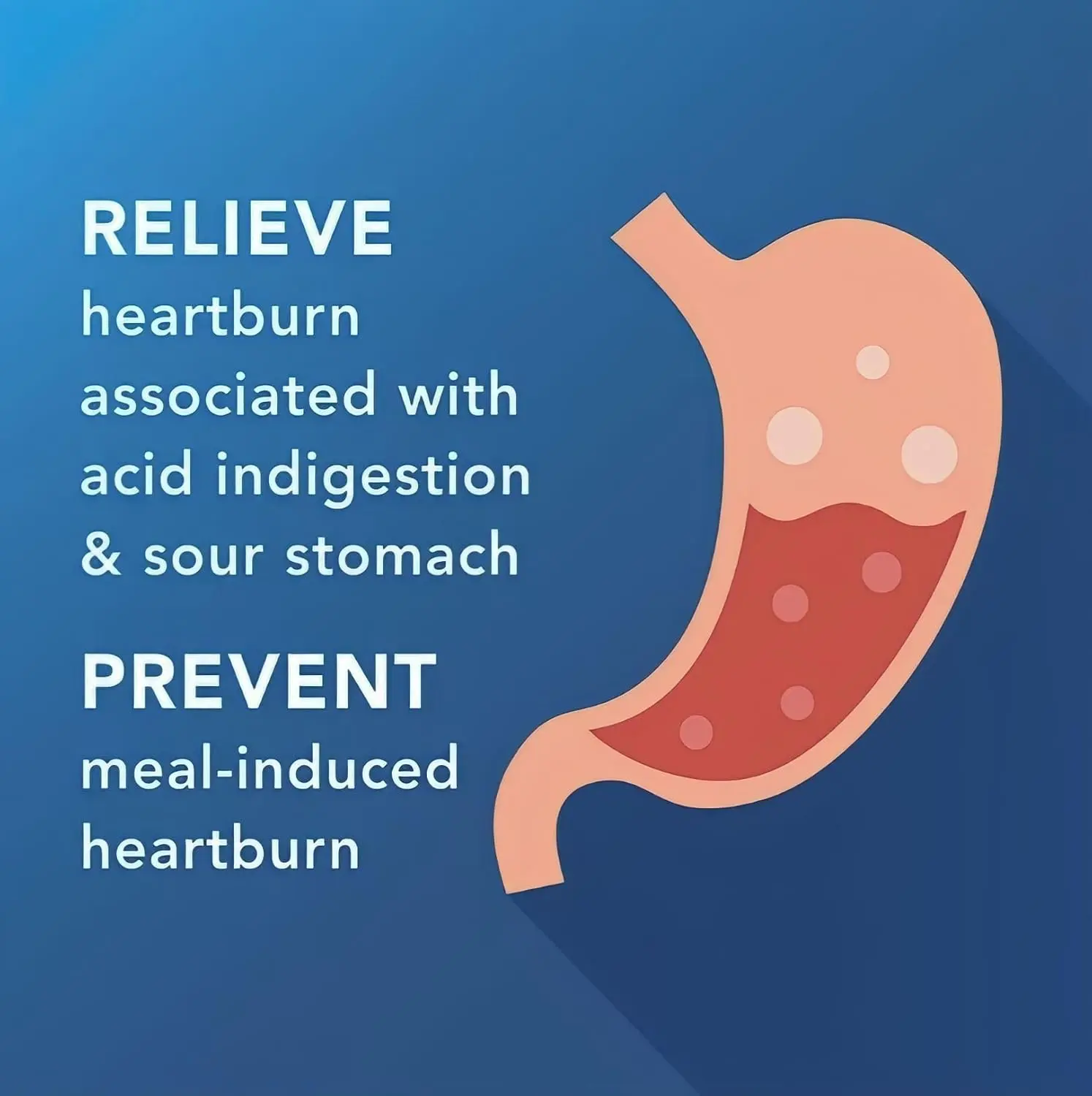 Two bottles of Berkley and Jensen Maximum Strength Famotidine 20mg tablets for heartburn relief are shown.