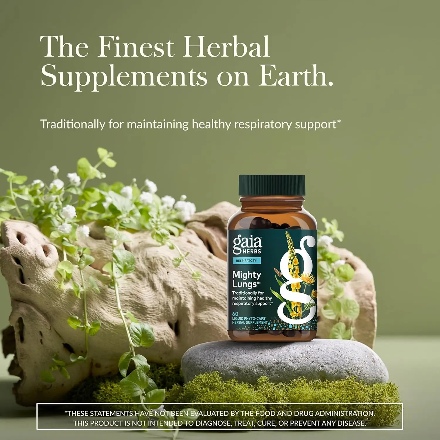 Bottle of Gaia Herbs Mighty Lungs lung support supplement with mullein leaf, plantain, and schisandra to help maintain overall lung and respiratory health.