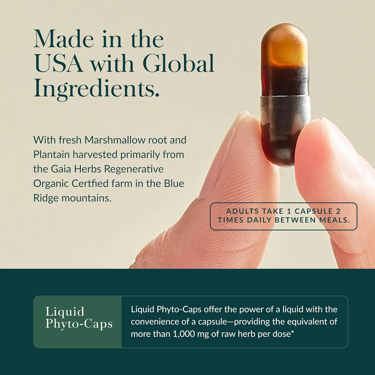 Bottle of Gaia Herbs Mighty Lungs lung support supplement with mullein leaf, plantain, and schisandra to help maintain overall lung and respiratory health.