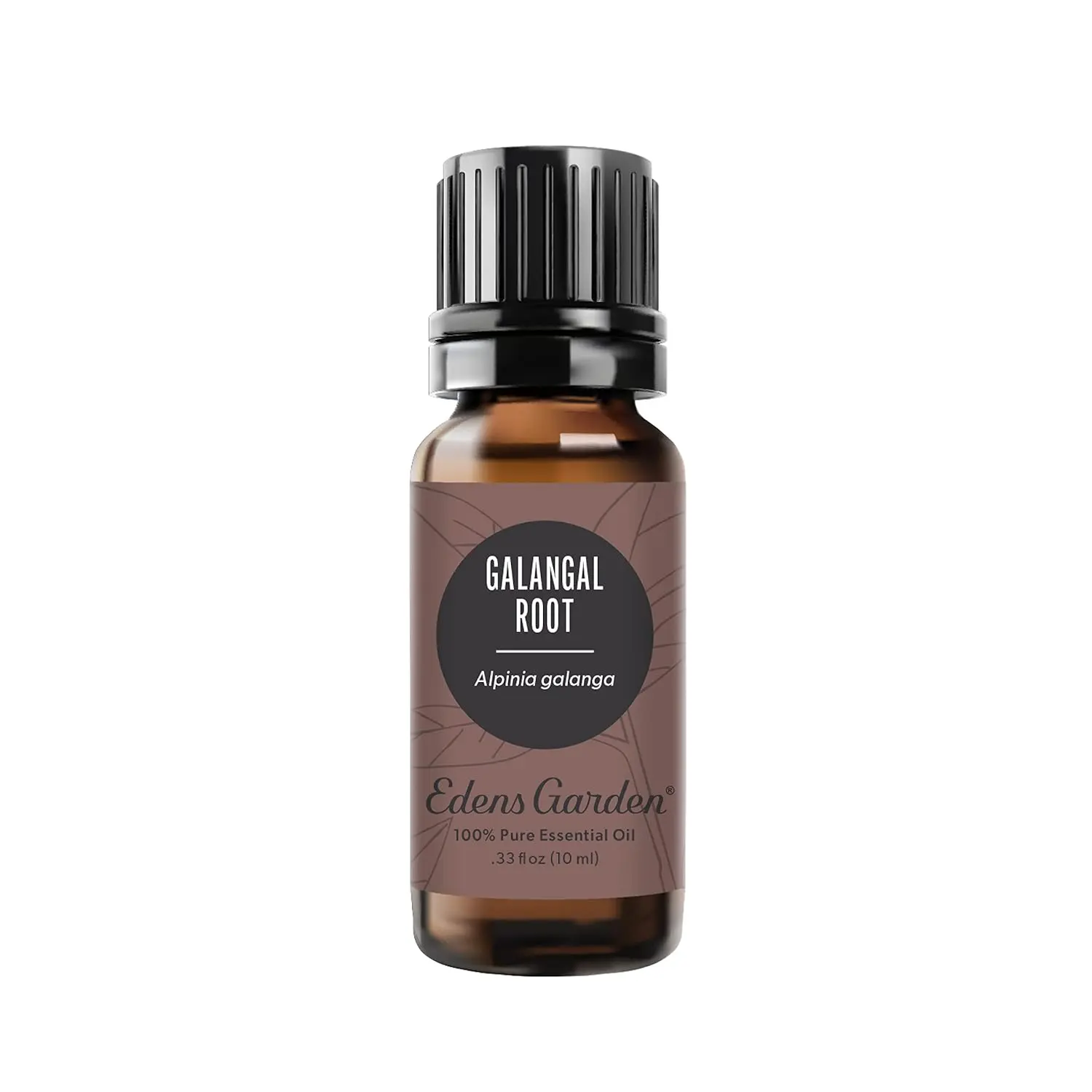 Bottle of Edens Garden Galangal Root essential oil, known for its spicy, citrusy fragrance and potential digestive benefits, perfect for aromatherapy and wellness practices.