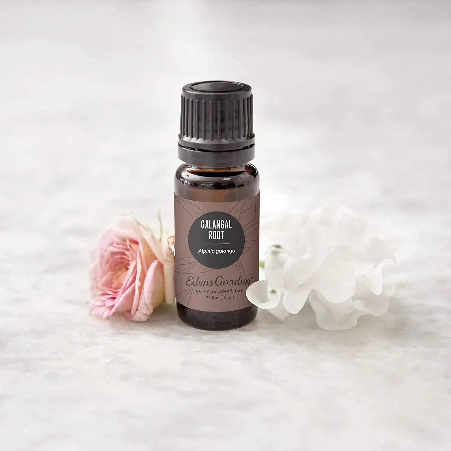 Bottle of Edens Garden Galangal Root essential oil, known for its spicy, citrusy fragrance and potential digestive benefits, perfect for aromatherapy and wellness practices.