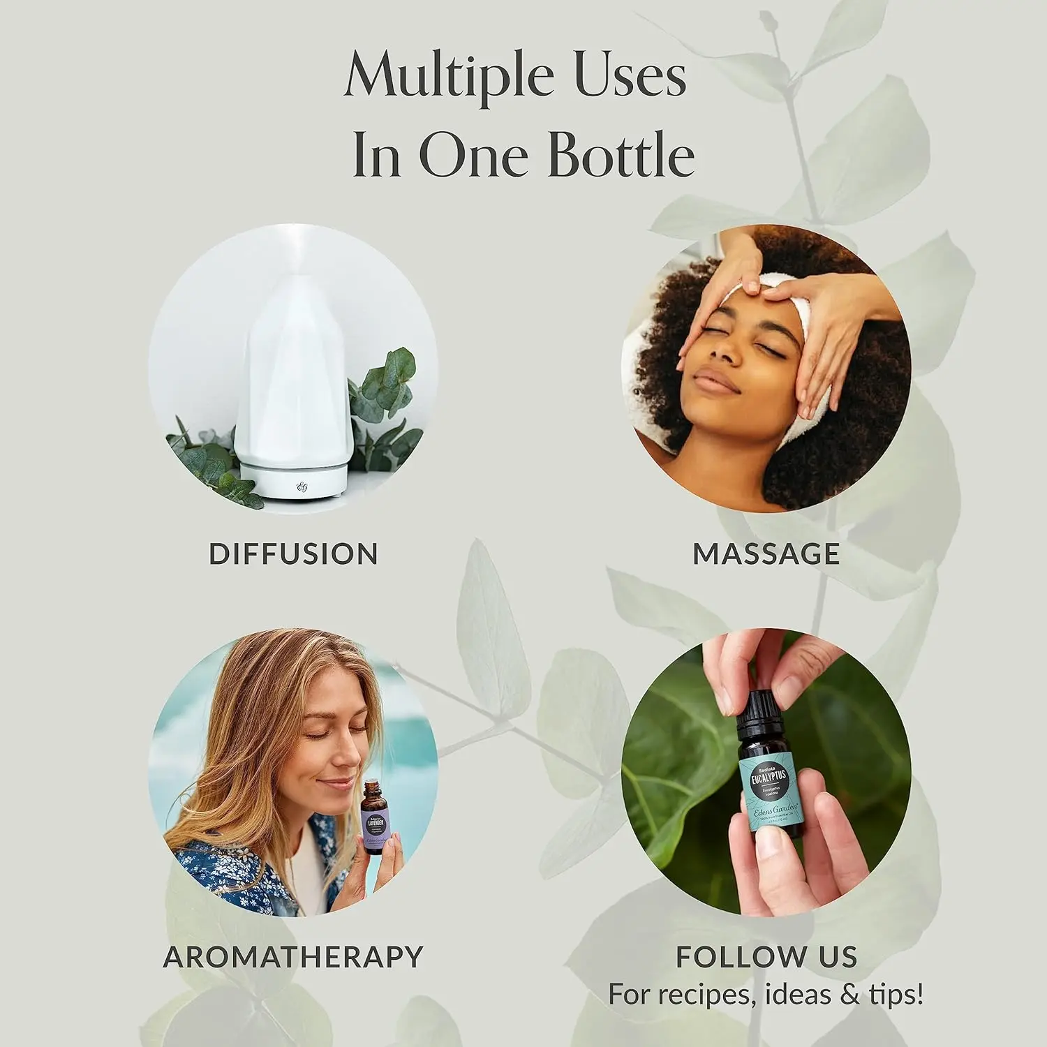 Bottle of Edens Garden Galangal Root essential oil, known for its spicy, citrusy fragrance and potential digestive benefits, perfect for aromatherapy and wellness practices.