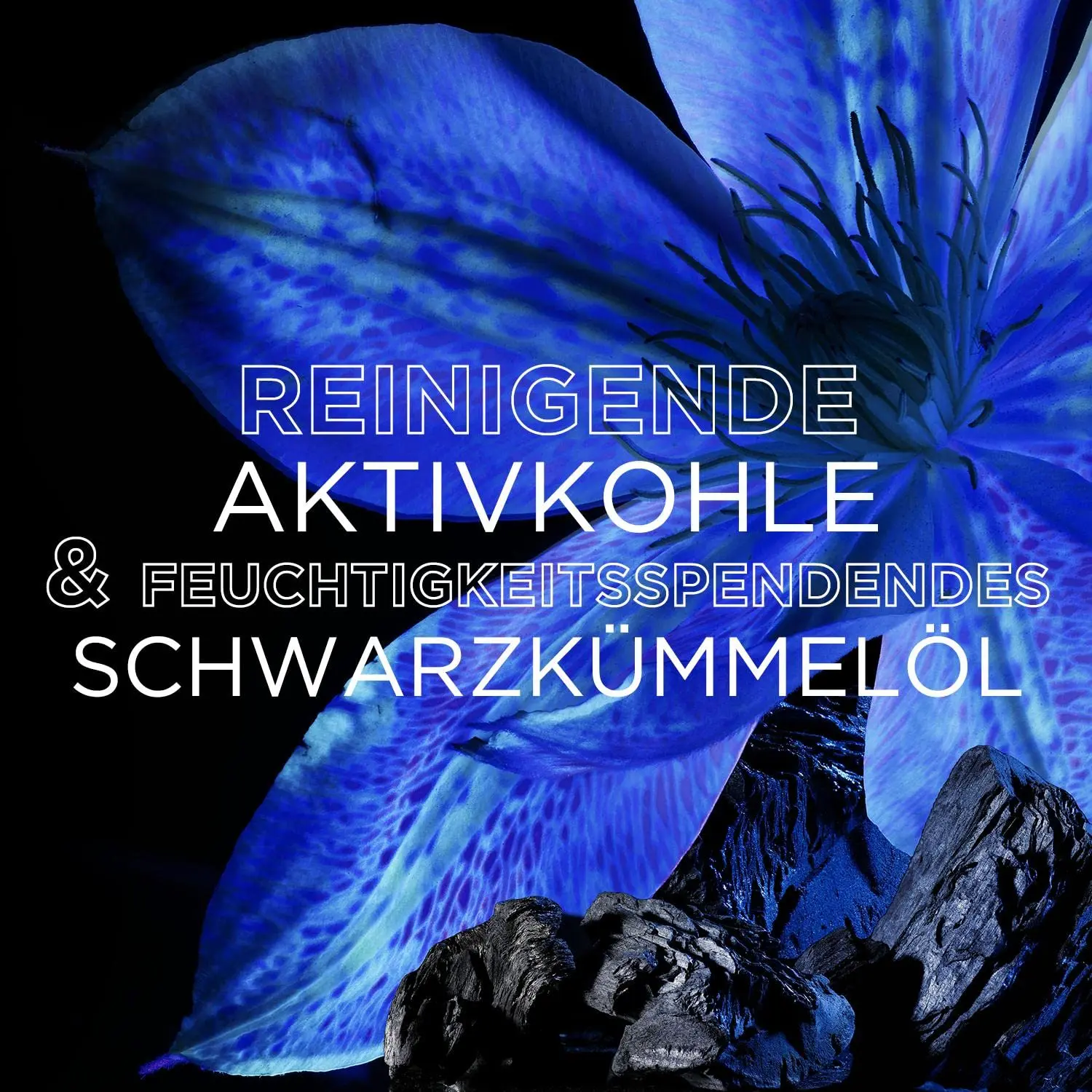 Garnier True Treasures balancing hair care set with activated carbon and black cumin oil shampoo, conditioner, and hair mask for greasy roots and dry ends.