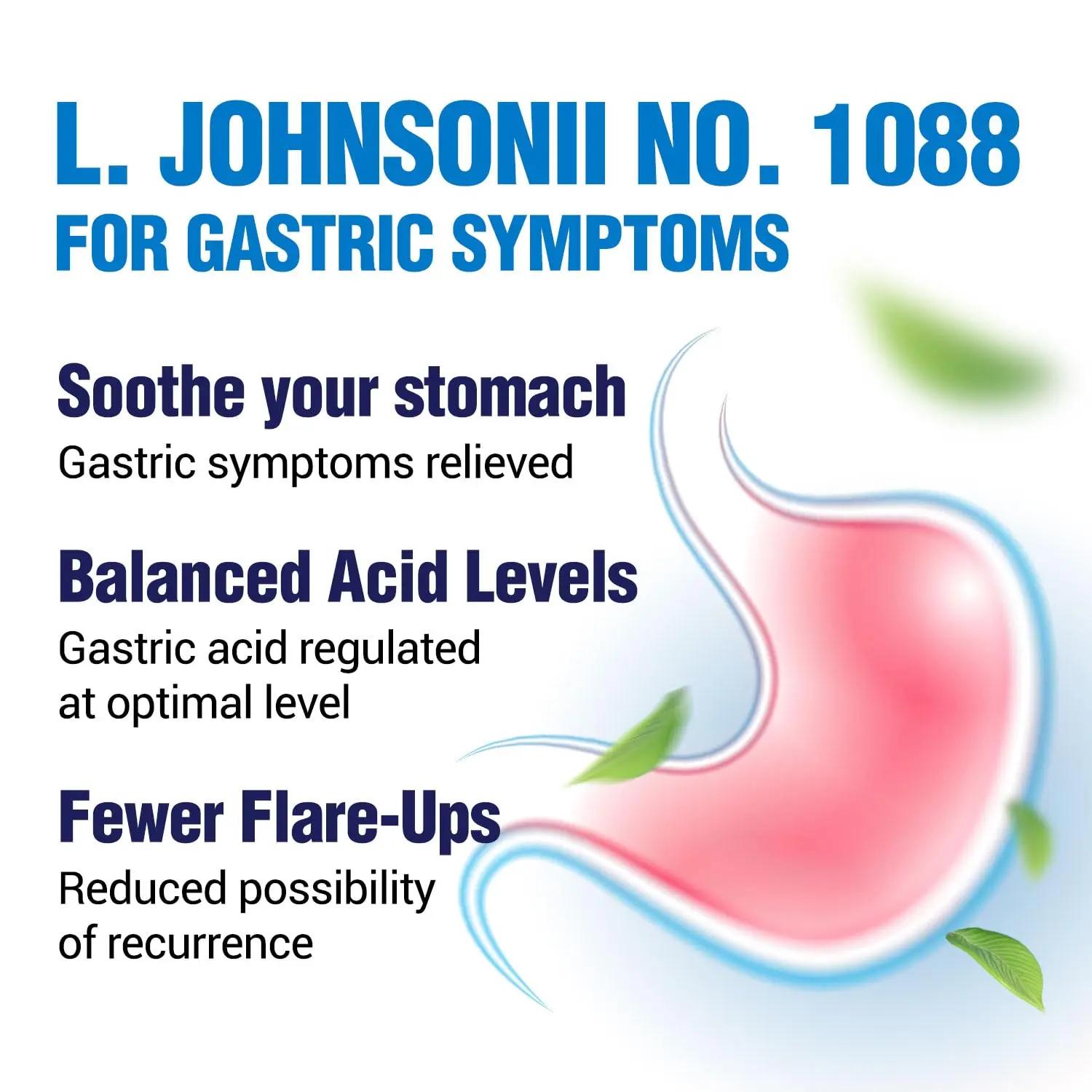 GASTRICELL contains L. johnsonii No. 1088 probiotic to help maintain healthy gastric function, balanced stomach acidity, and a well-regulated intestinal environment for heartburn and acid reflux relief.