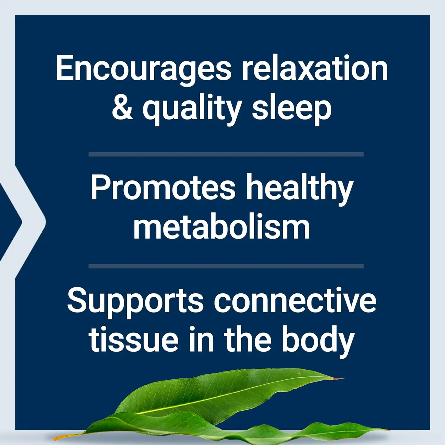 This is a bottle of Life Extension Glycine 1000 mg capsules, a nutritional supplement containing 100 vegetarian capsules.