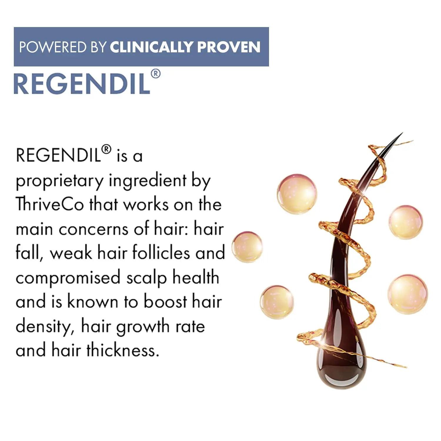 ThriveCo hair growth serum featuring Redensyl, Anagain, and Procapil to fight hair loss and promote hair density for both men and women, suitable for all hair types.