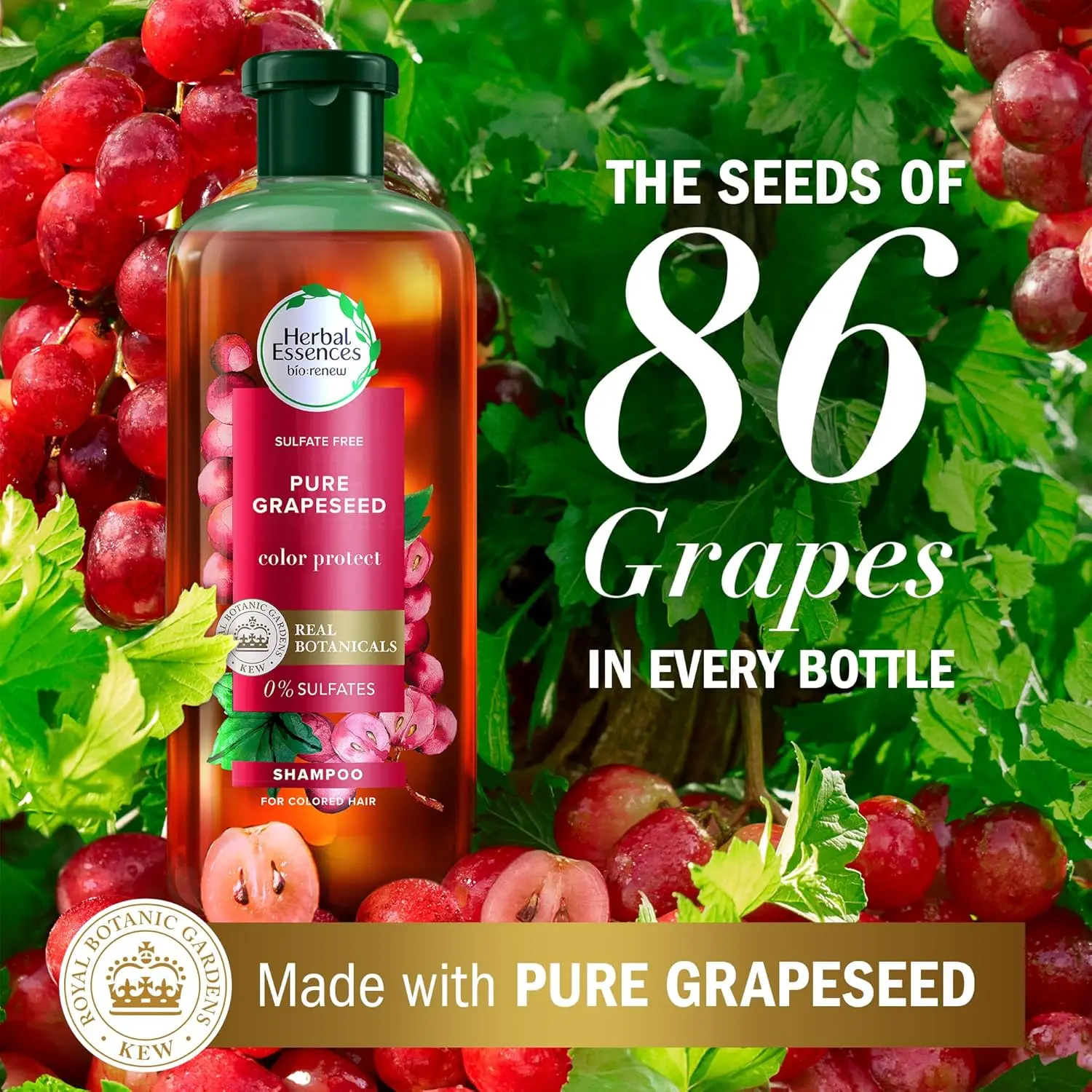 Herbal Essences color protect shampoo and conditioner set, infused with antioxidant-rich grapeseed, helps maintain vibrant dyed hair for up to 12 weeks while nourishing and softening hair without sulfates, parabens, or colorants.