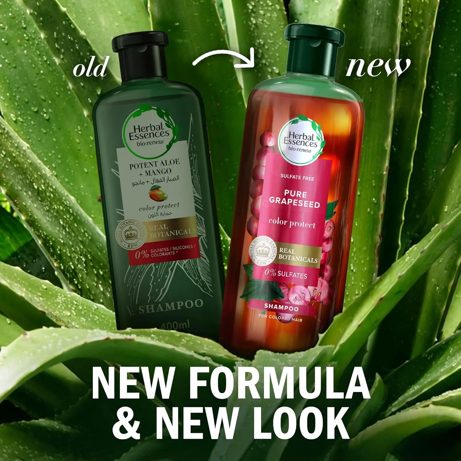 Herbal Essences color protect shampoo and conditioner set, infused with antioxidant-rich grapeseed, helps maintain vibrant dyed hair for up to 12 weeks while nourishing and softening hair without sulfates, parabens, or colorants.