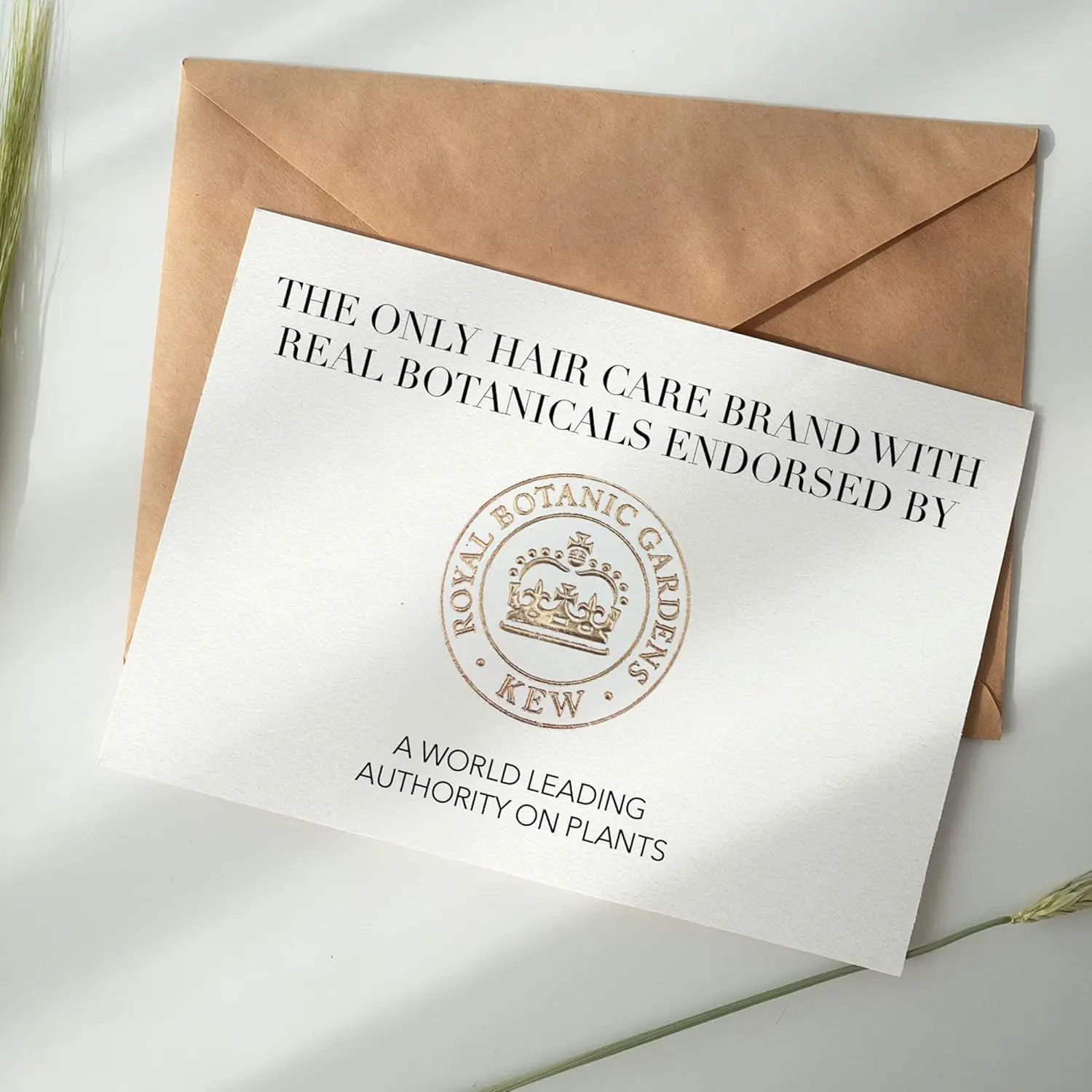 Herbal Essences Bio:Renew shampoo and conditioner set with white strawberry and mint scent for voluminous, color-safe hair that is free of parabens and colorants.