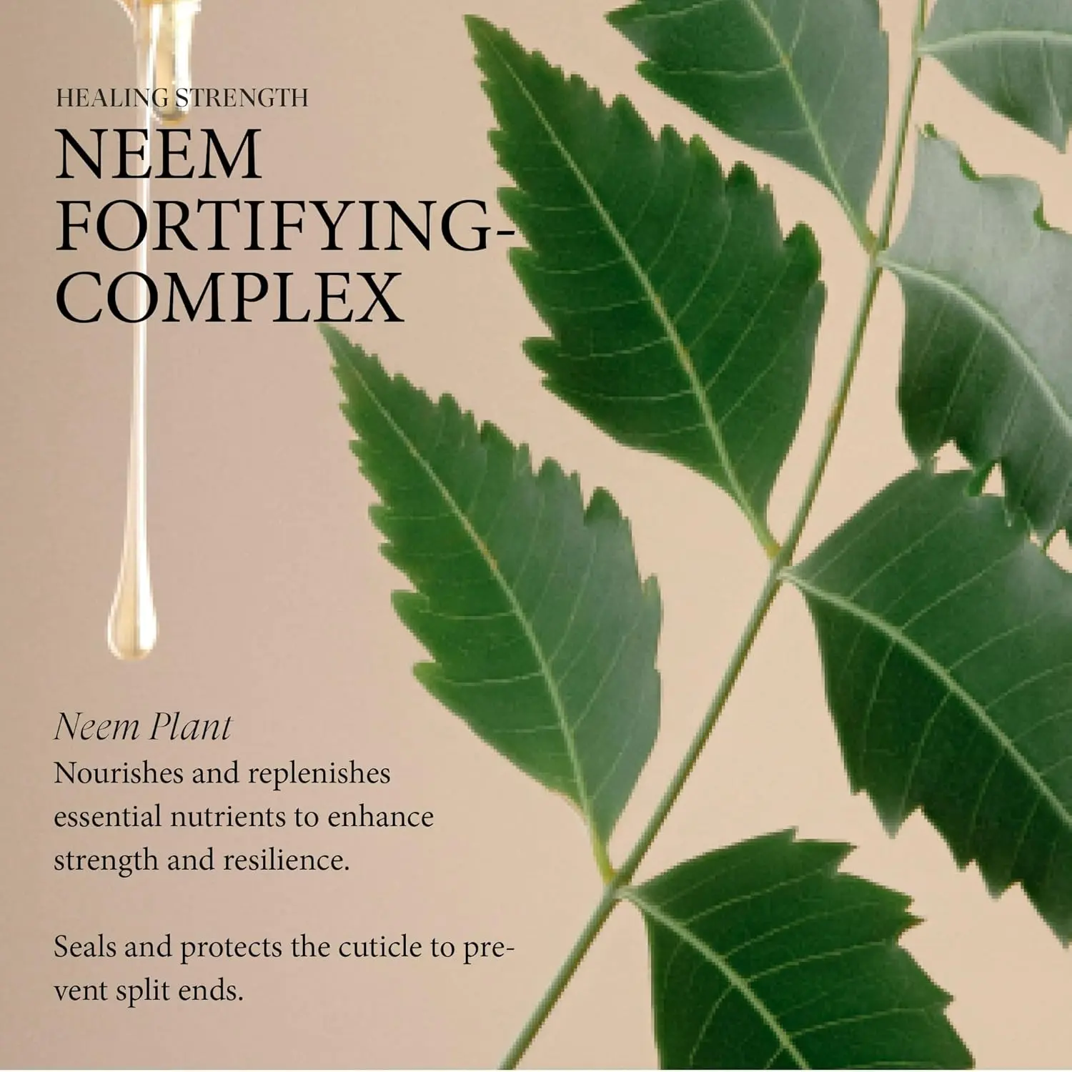 L'ANZA detangling hair primer protects hair from heat damage while strengthening and boosting shine.