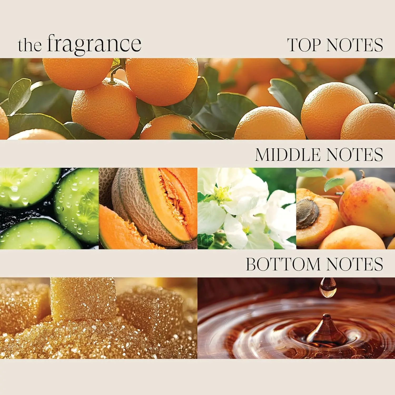 L'ANZA detangling hair primer protects hair from heat damage while strengthening and boosting shine.