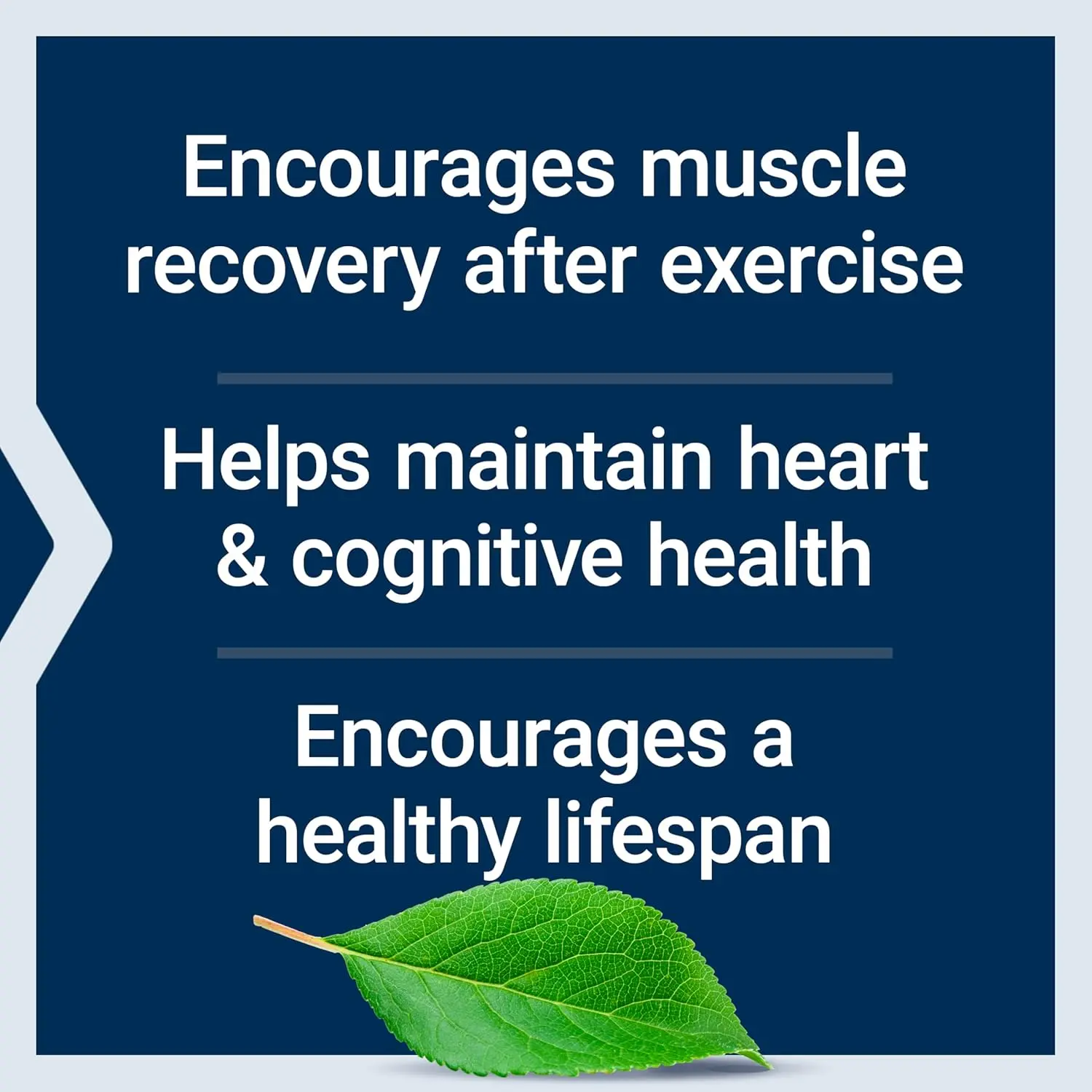 Bottle of Life Extension Taurine capsules, a vital substance thought to help regulate the central nervous system and promote system-wide health.