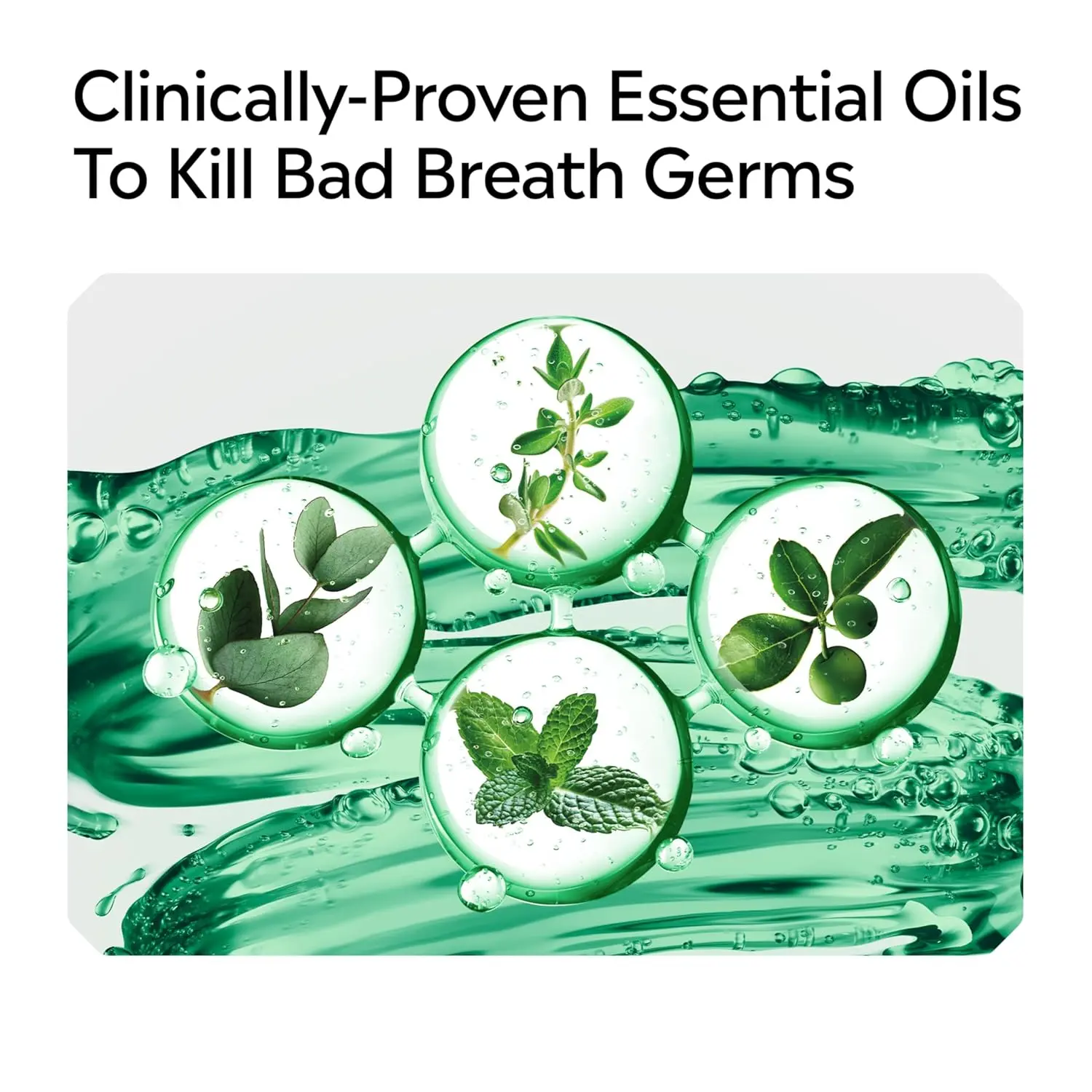 Bottle of Listerine Fresh Burst spearmint mouthwash, an antiseptic oral rinse that kills 99.9% of germs causing bad breath, plaque, and gingivitis.