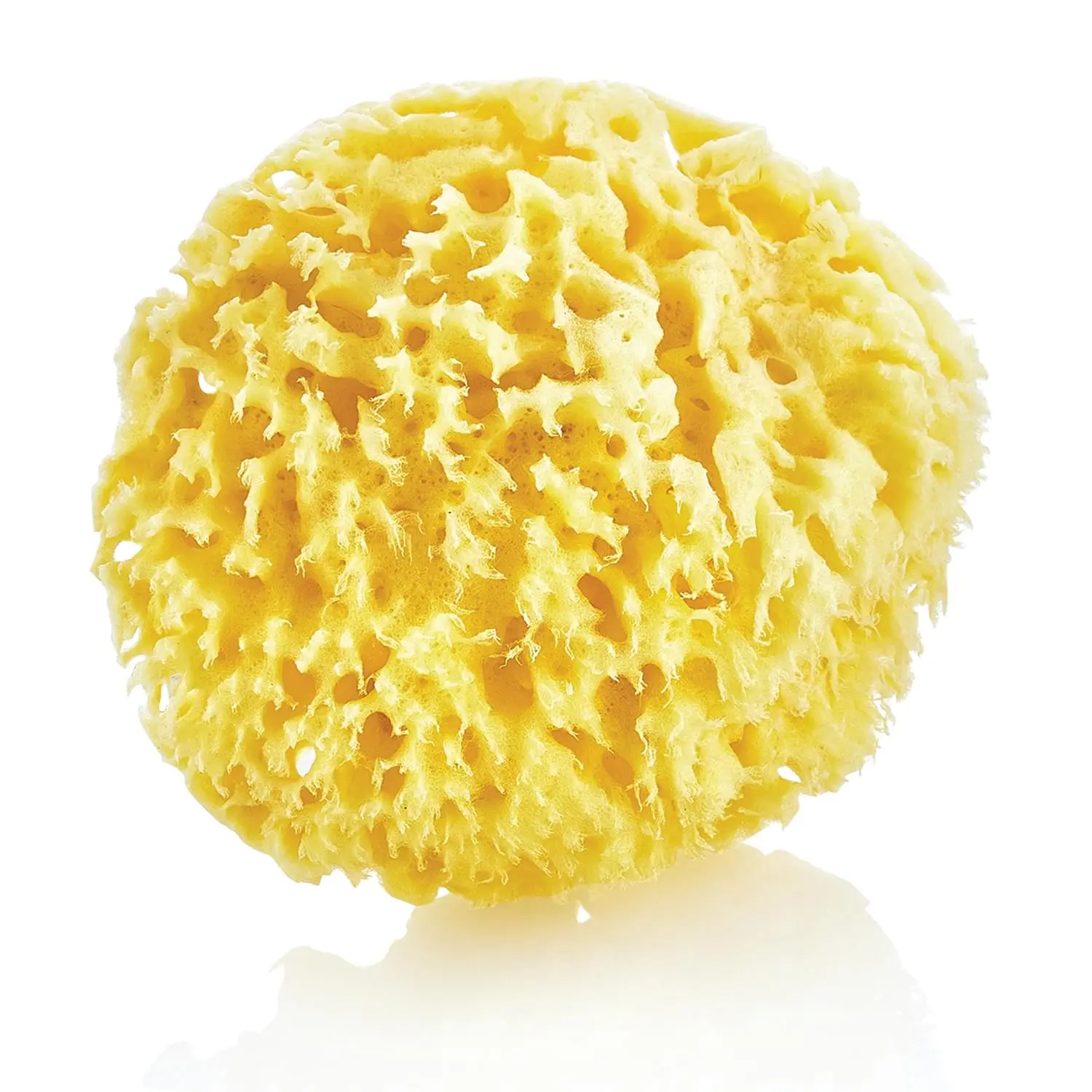 A soft, natural sea sponge perfect for gently cleansing delicate newborn skin during bath time, harvested from the Aegean Sea and suitable for sensitive skin.