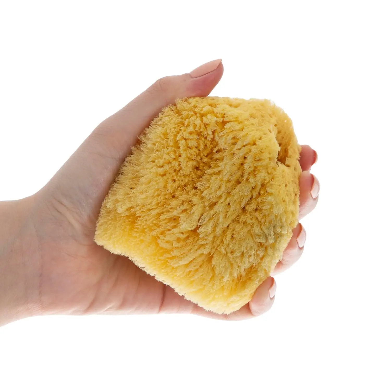 A soft, natural sea sponge perfect for gently cleansing delicate newborn skin during bath time, harvested from the Aegean Sea and suitable for sensitive skin.