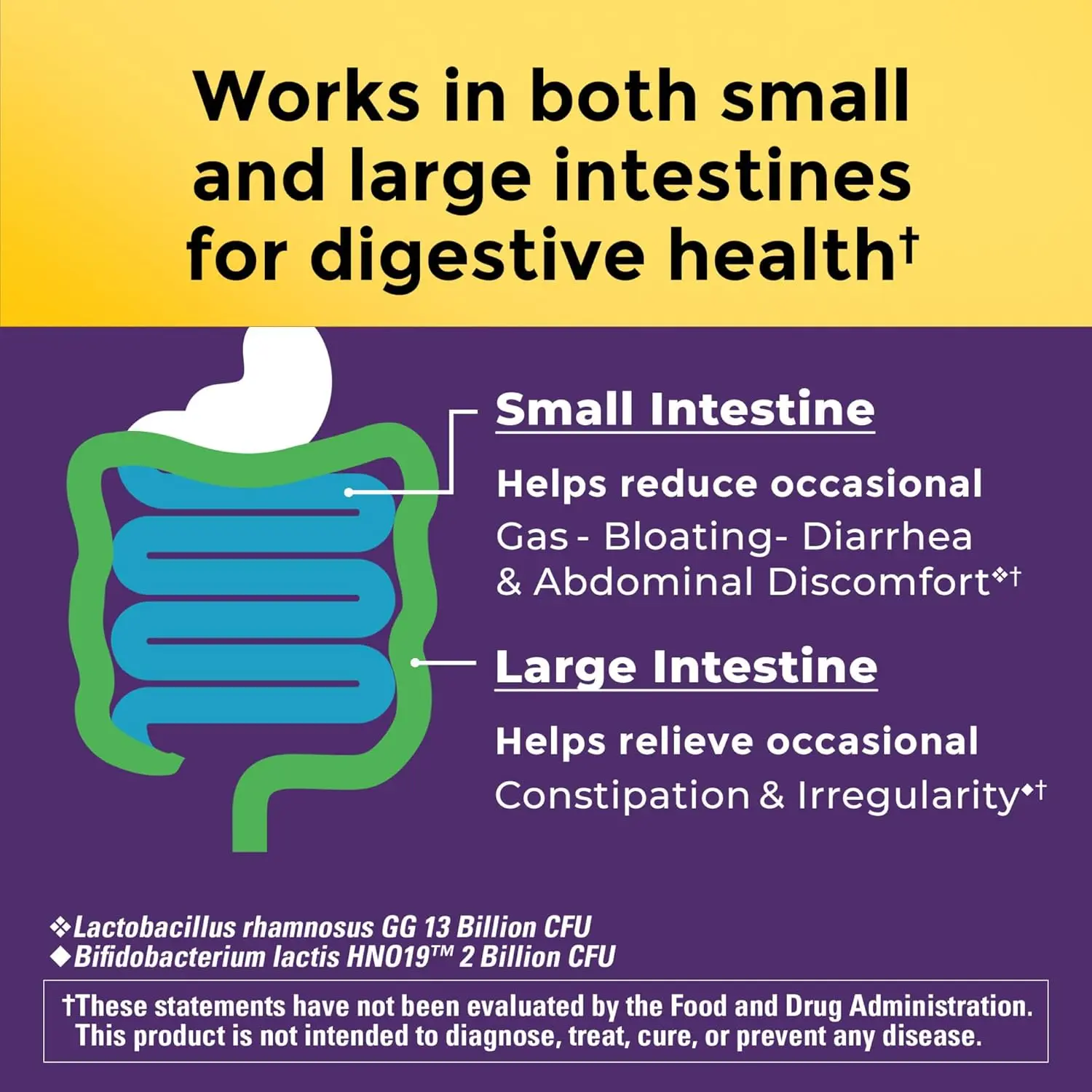 Bottle of Nature Made Probiotics Extra Strength capsules containing 15 billion CFUs to support digestive health, gas, bloating, and gut flora balance.
