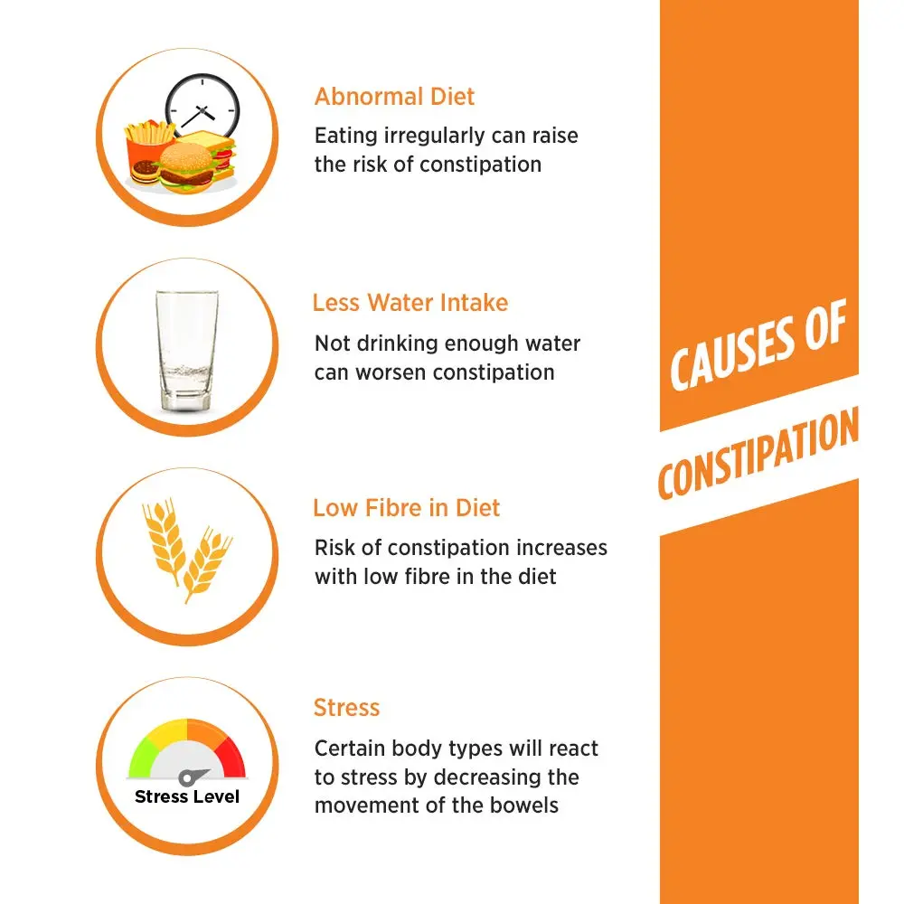 Two packs of Naturolax-A Isabgol Powder, an Ayurvedic fiber supplement with psyllium husk, providing natural and overnight relief from constipation and promoting healthy digestion.