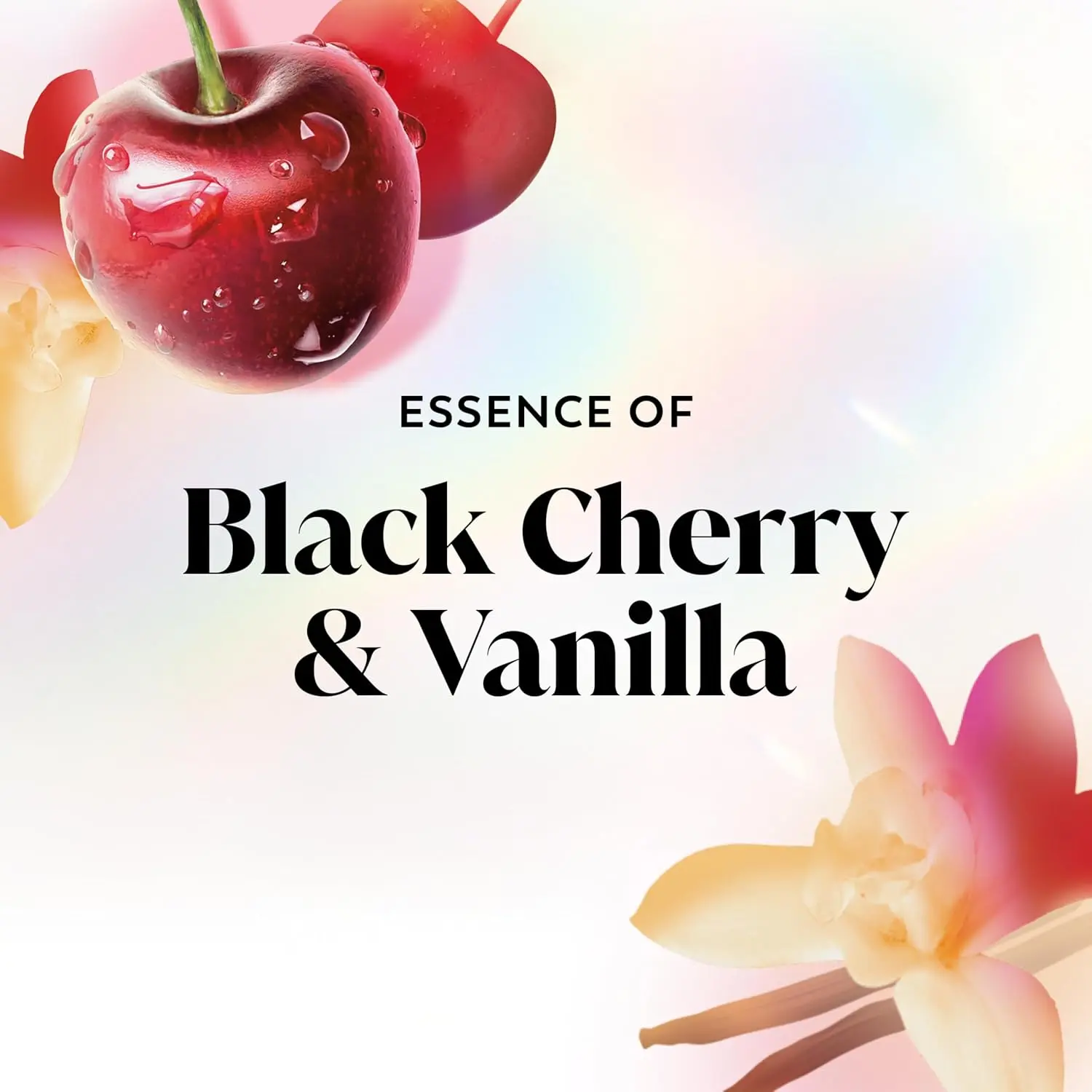 Olay Fresh Radiance body wash with black cherry and vanilla scent, formulated with plant-based cleansers and vitamin B3 for healthy, radiant skin in 14 days.