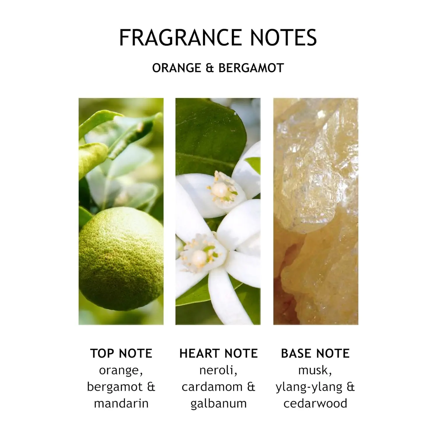 A luxurious bath oil by Molton Brown with radiant notes of orange and bergamot to scent your bath and veil your skin in the scents of Seville.