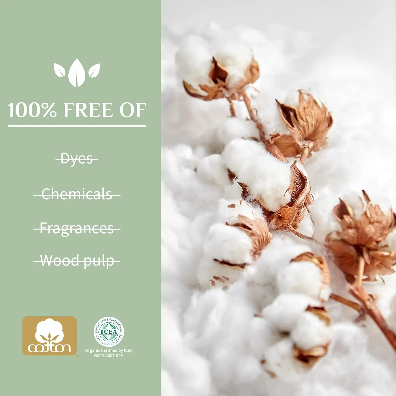 Sixteen regular absorbency Organyc tampons with applicator made of 100% organic cotton, certified vegan and biodegradable.