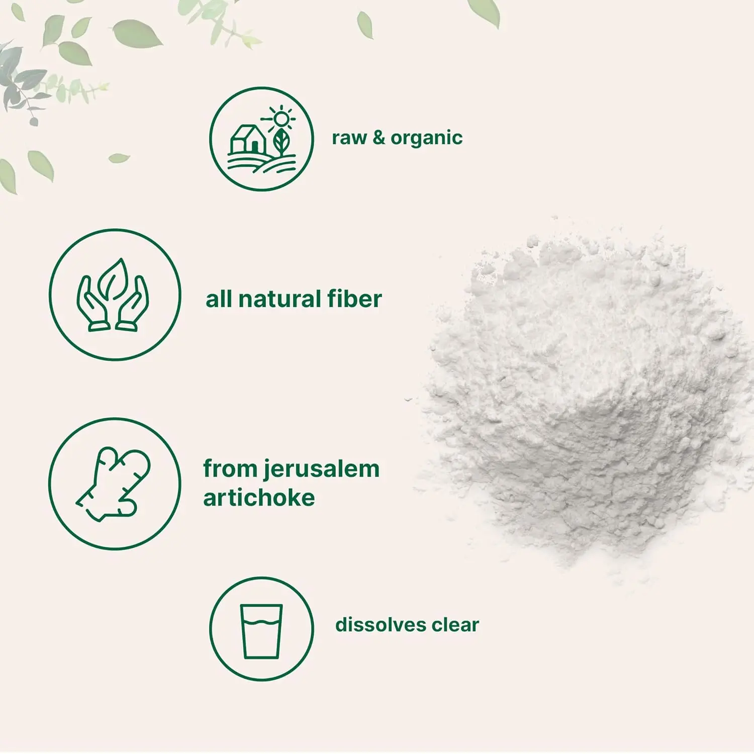 A scoop of organic inulin powder, a natural prebiotic fiber supplement sourced from Jerusalem artichoke, promoting healthy digestion and gut flora.